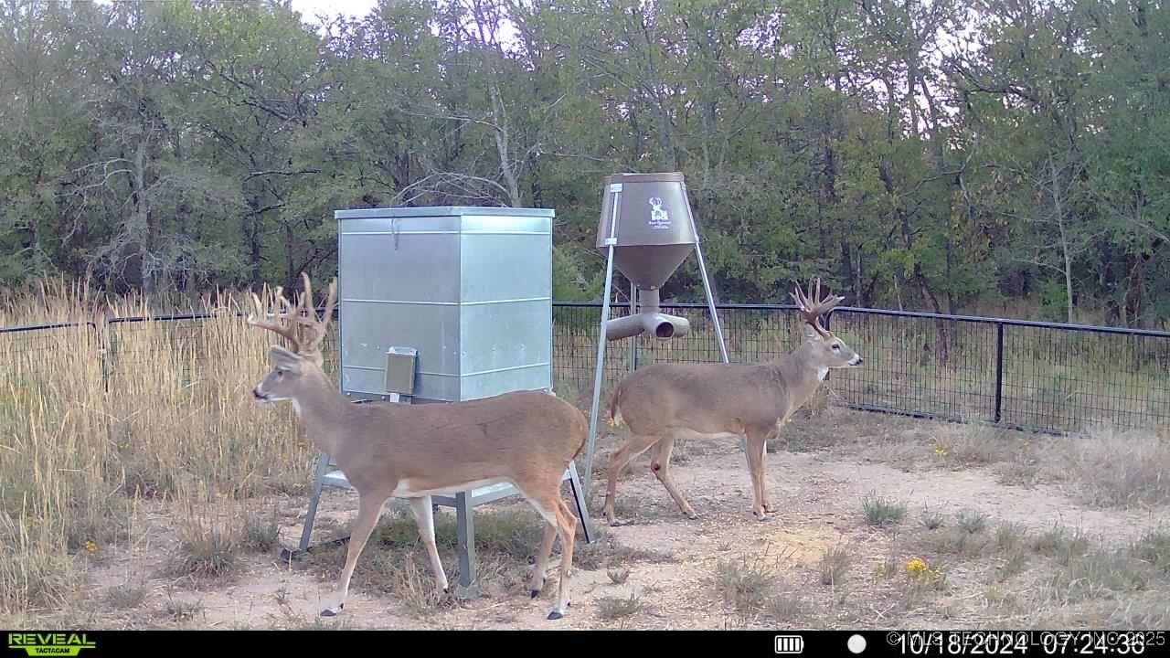 N County Road 3740 Tupelo OK 74572