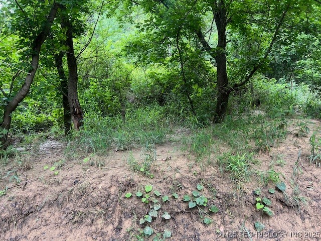 3930 Road Wardville OK 74576
