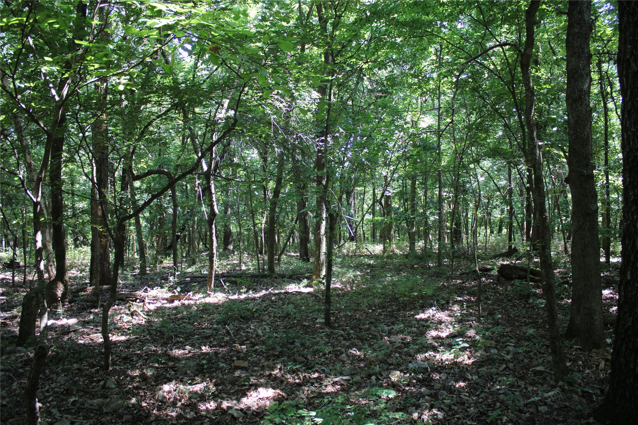 0000 S 680 Road Grove OK 74344