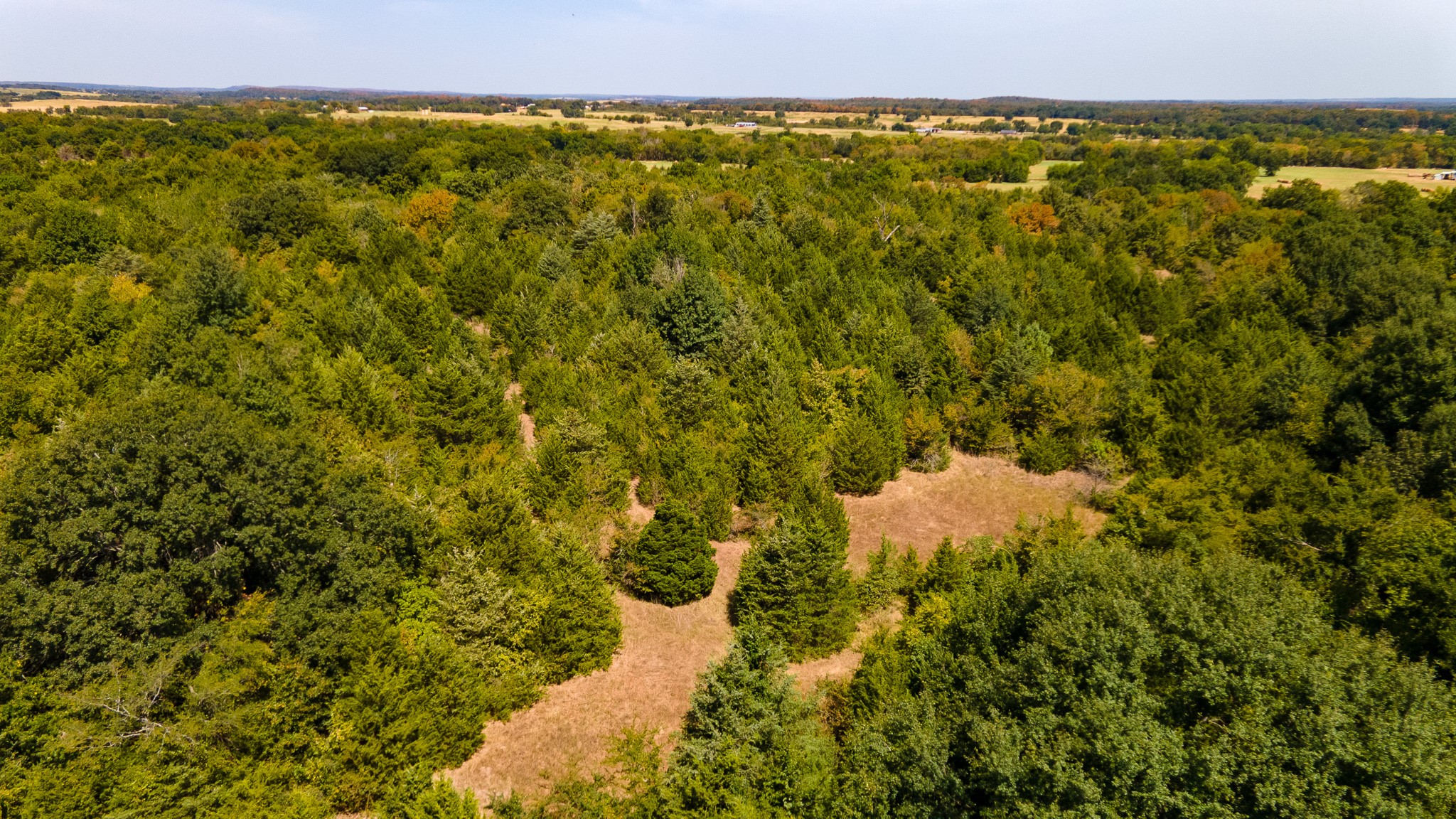 0000 S Timberline Drive Atoka OK 74525