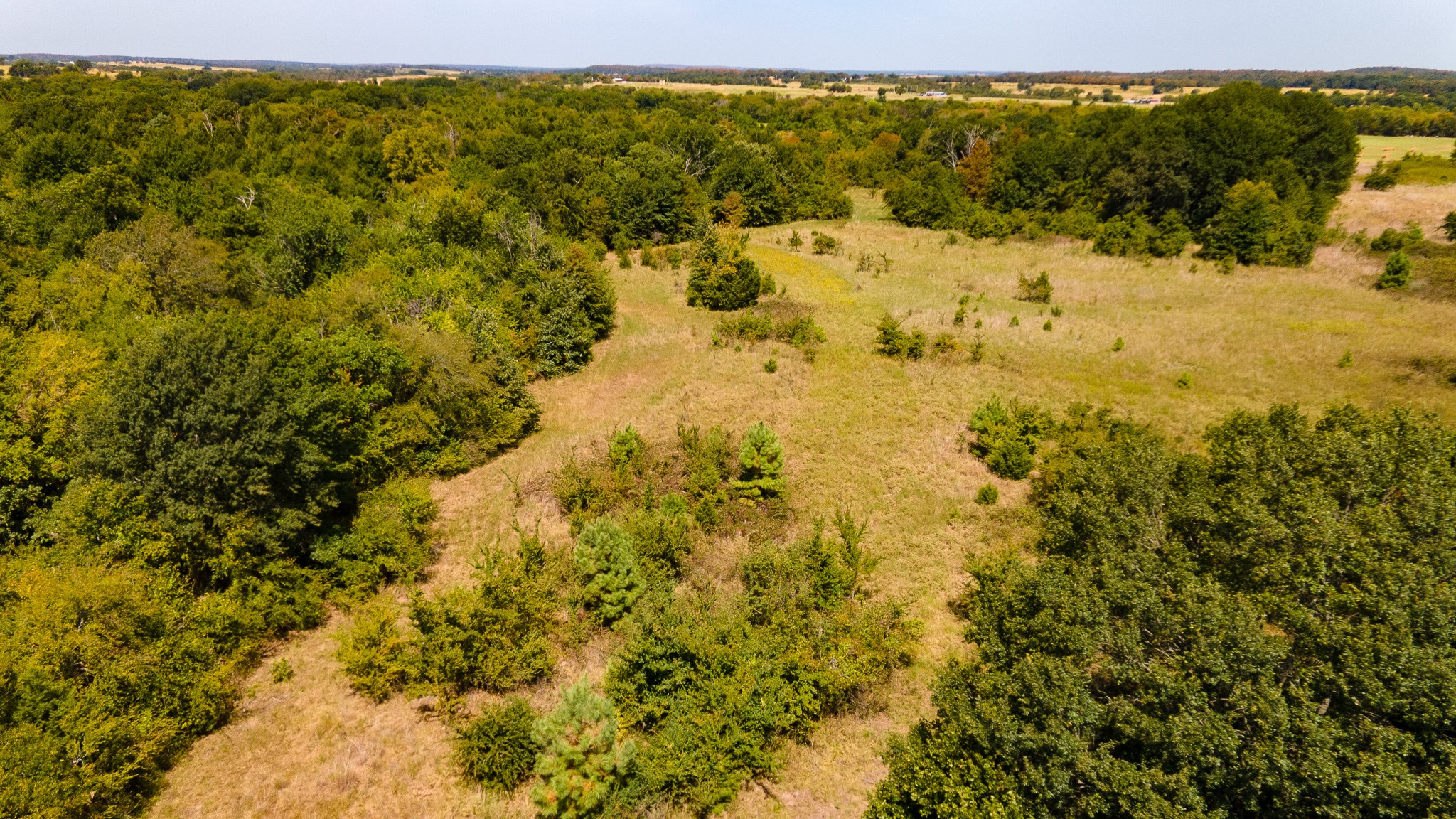 0000 S Timberline Drive Atoka OK 74525