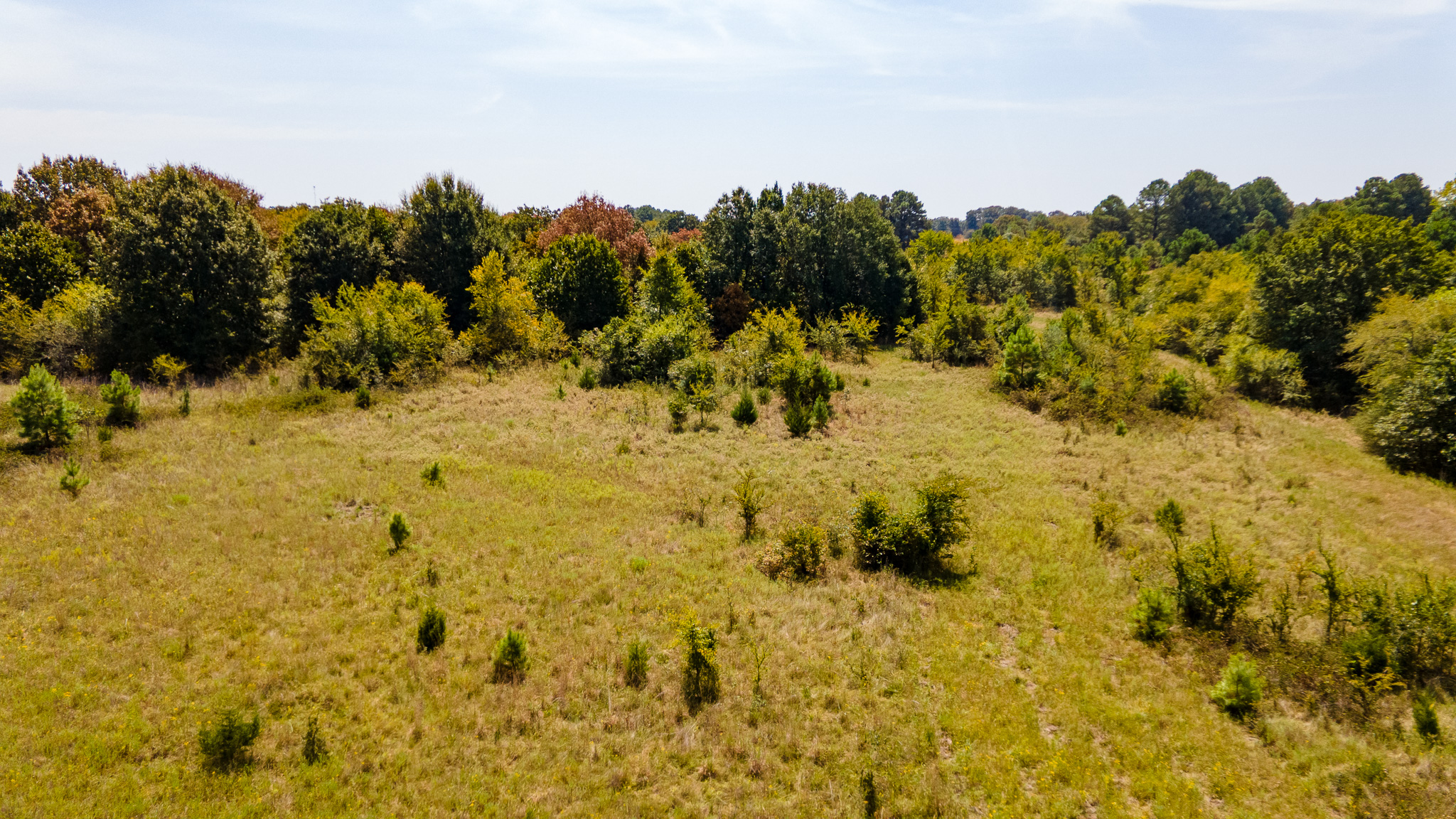0000 S Timberline Drive Atoka OK 74525