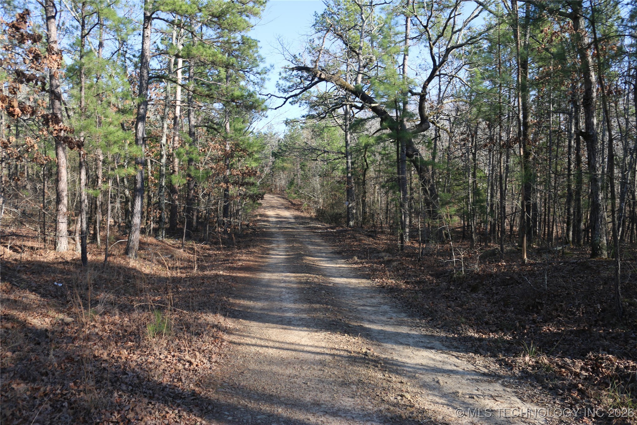 Marsh Loop Smithville OK 74957