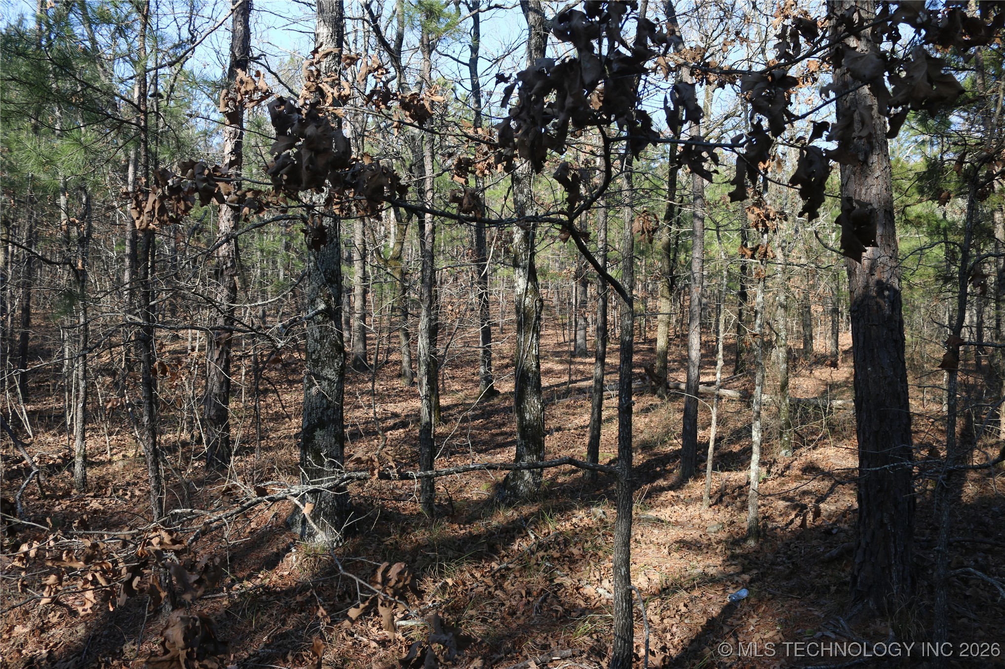 Marsh Loop Smithville OK 74957