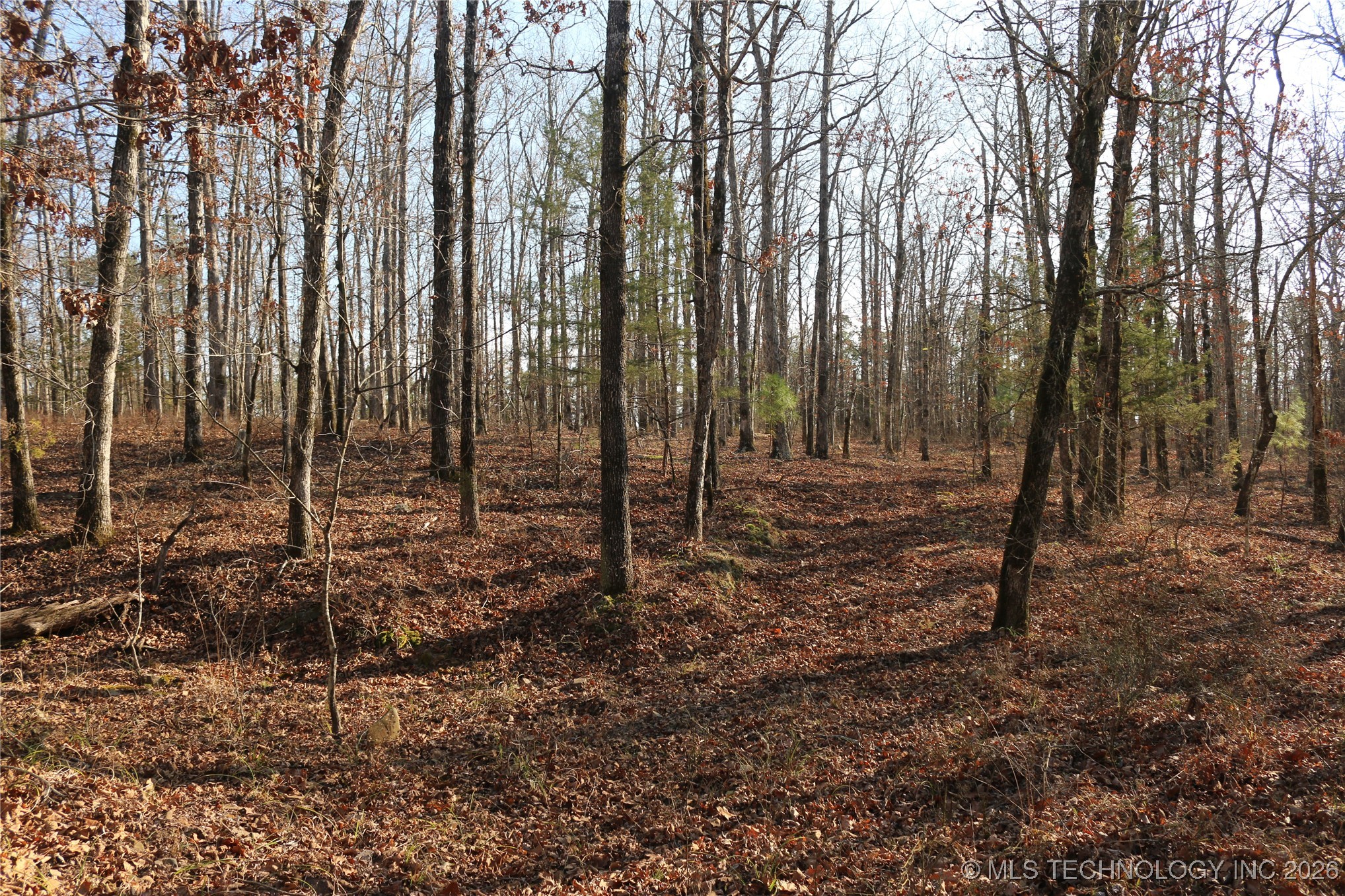 Marsh Loop Smithville OK 74957