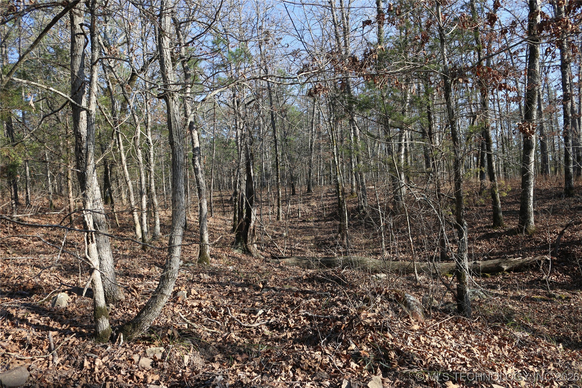 Marsh Loop Smithville OK 74957