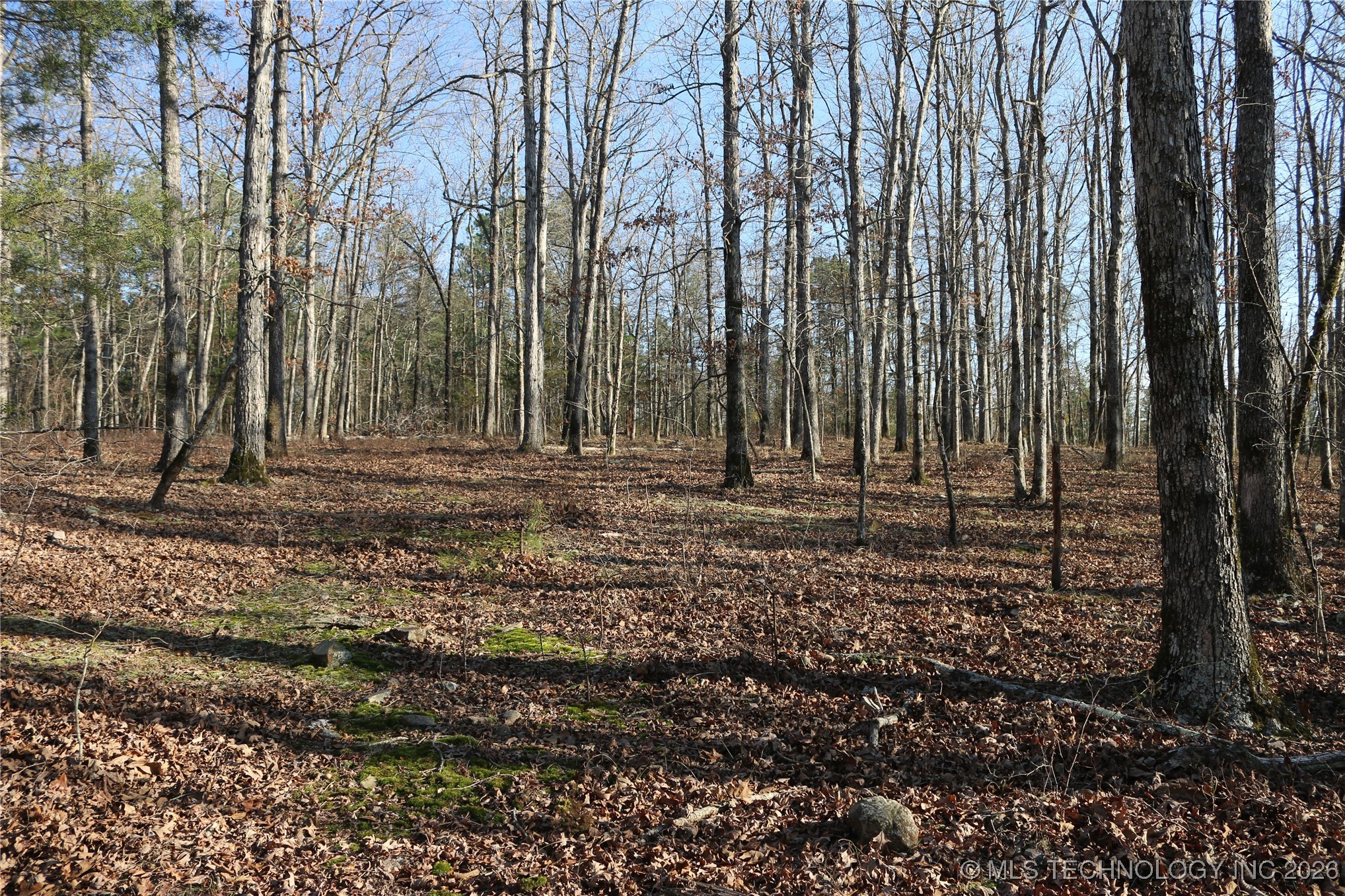 Marsh Loop Smithville OK 74957