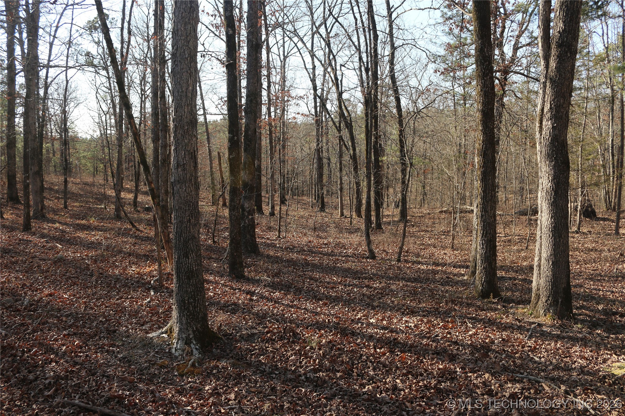 Marsh Loop Smithville OK 74957