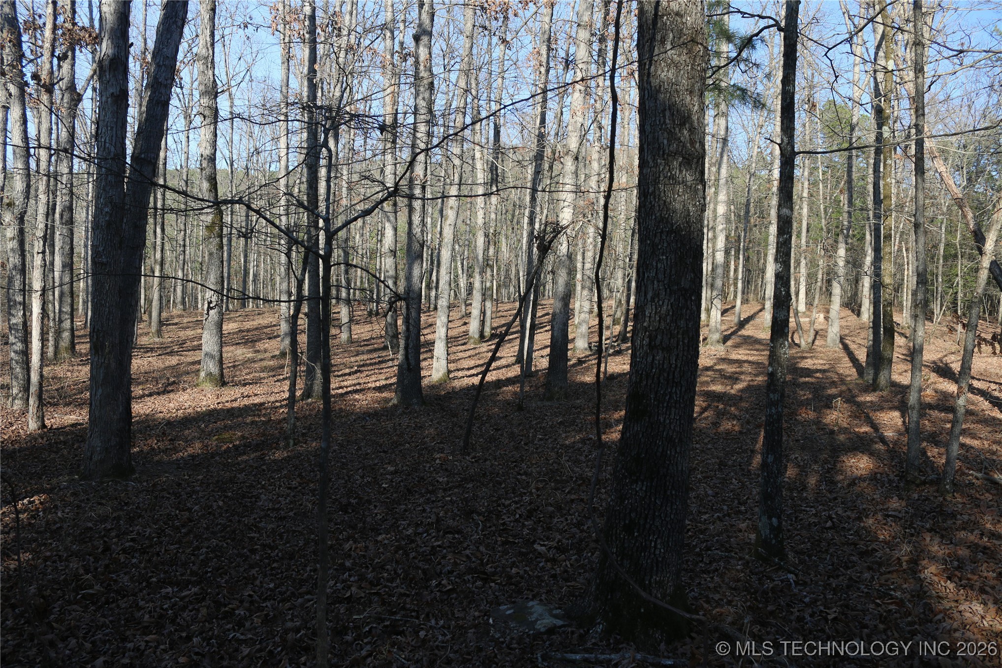 Marsh Loop Smithville OK 74957