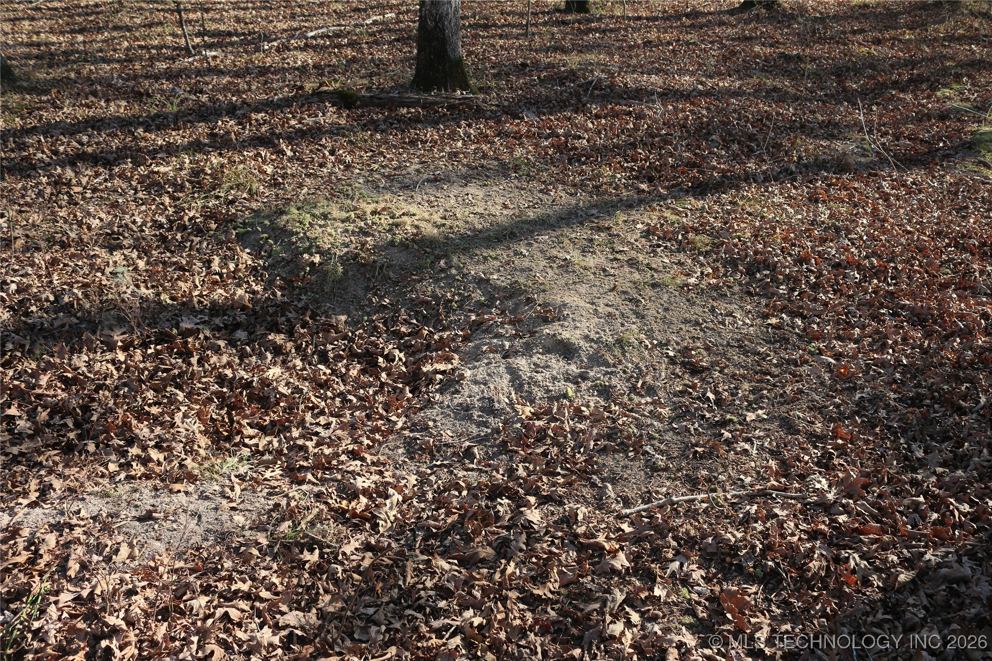 Marsh Loop Smithville OK 74957