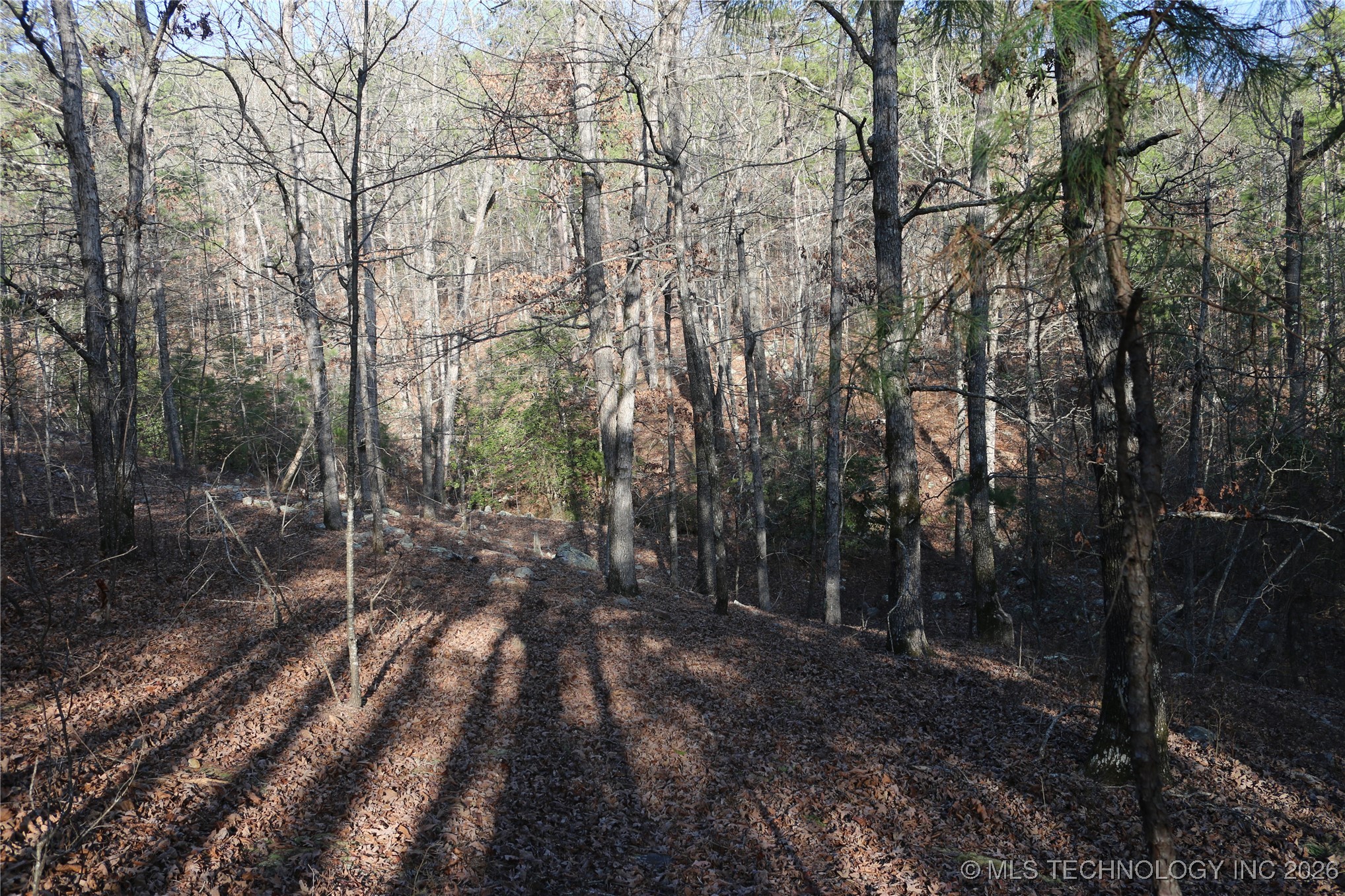 Marsh Loop Smithville OK 74957