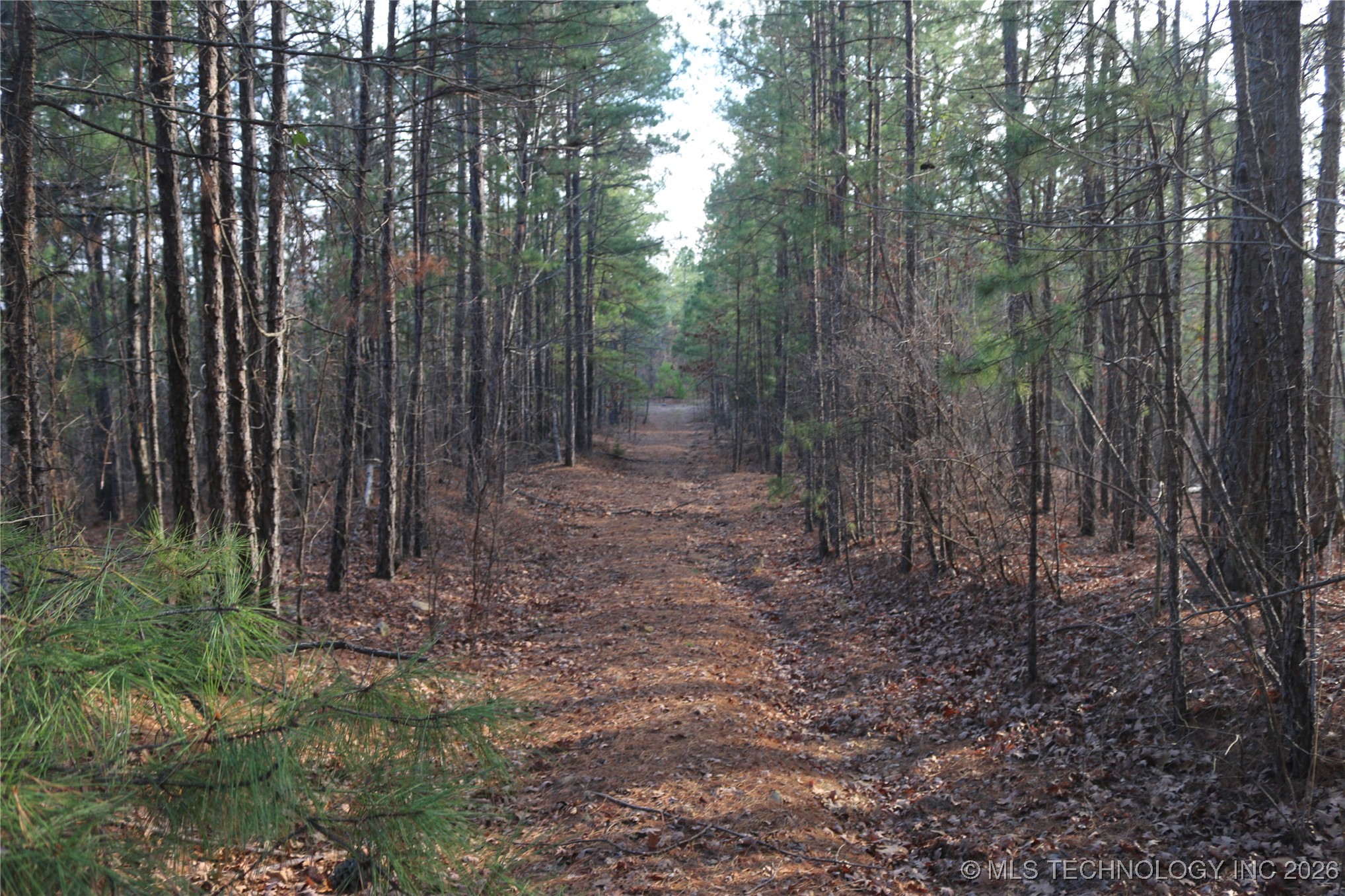 Marsh Loop Smithville OK 74957