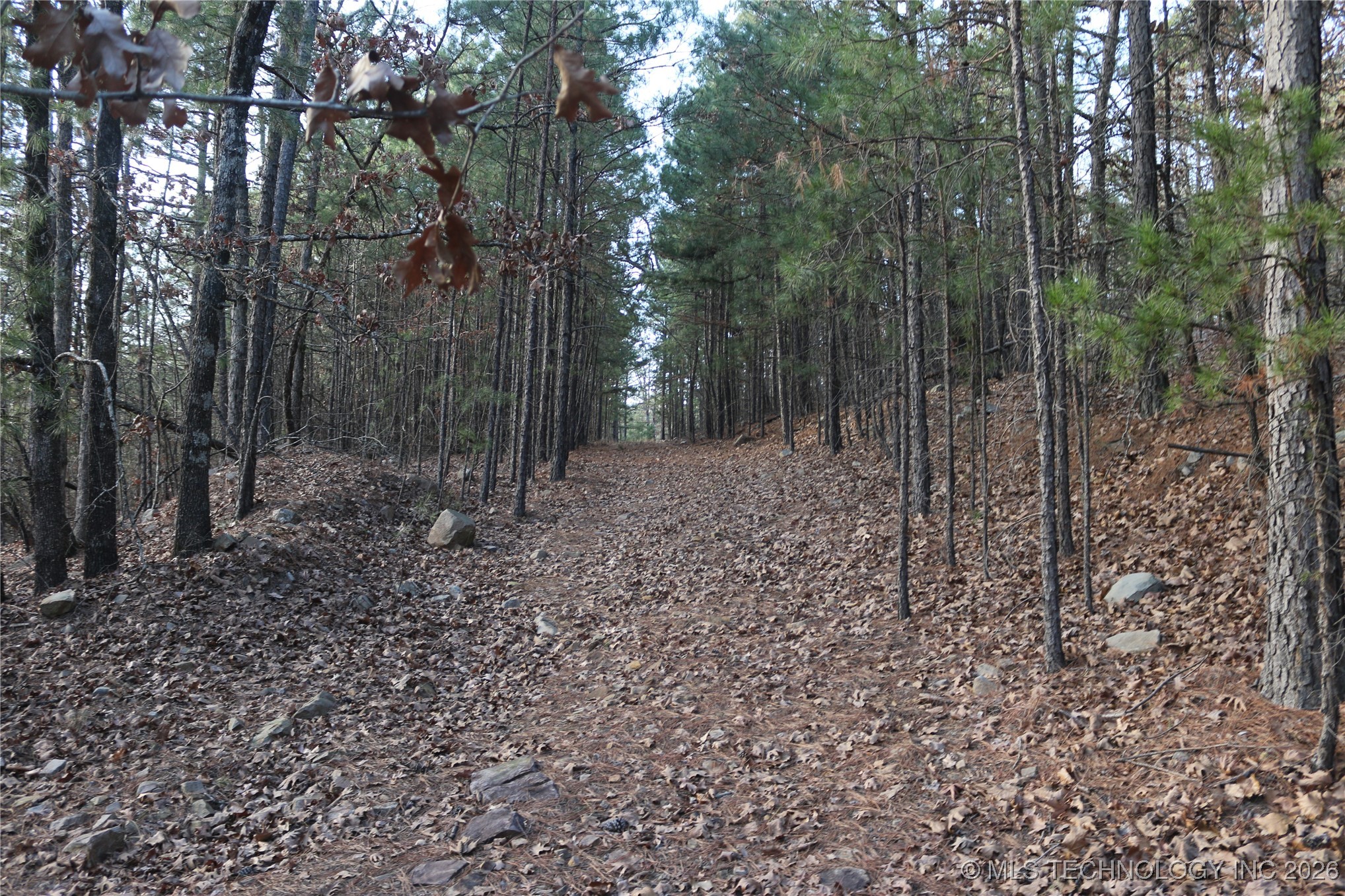 Marsh Loop Smithville OK 74957