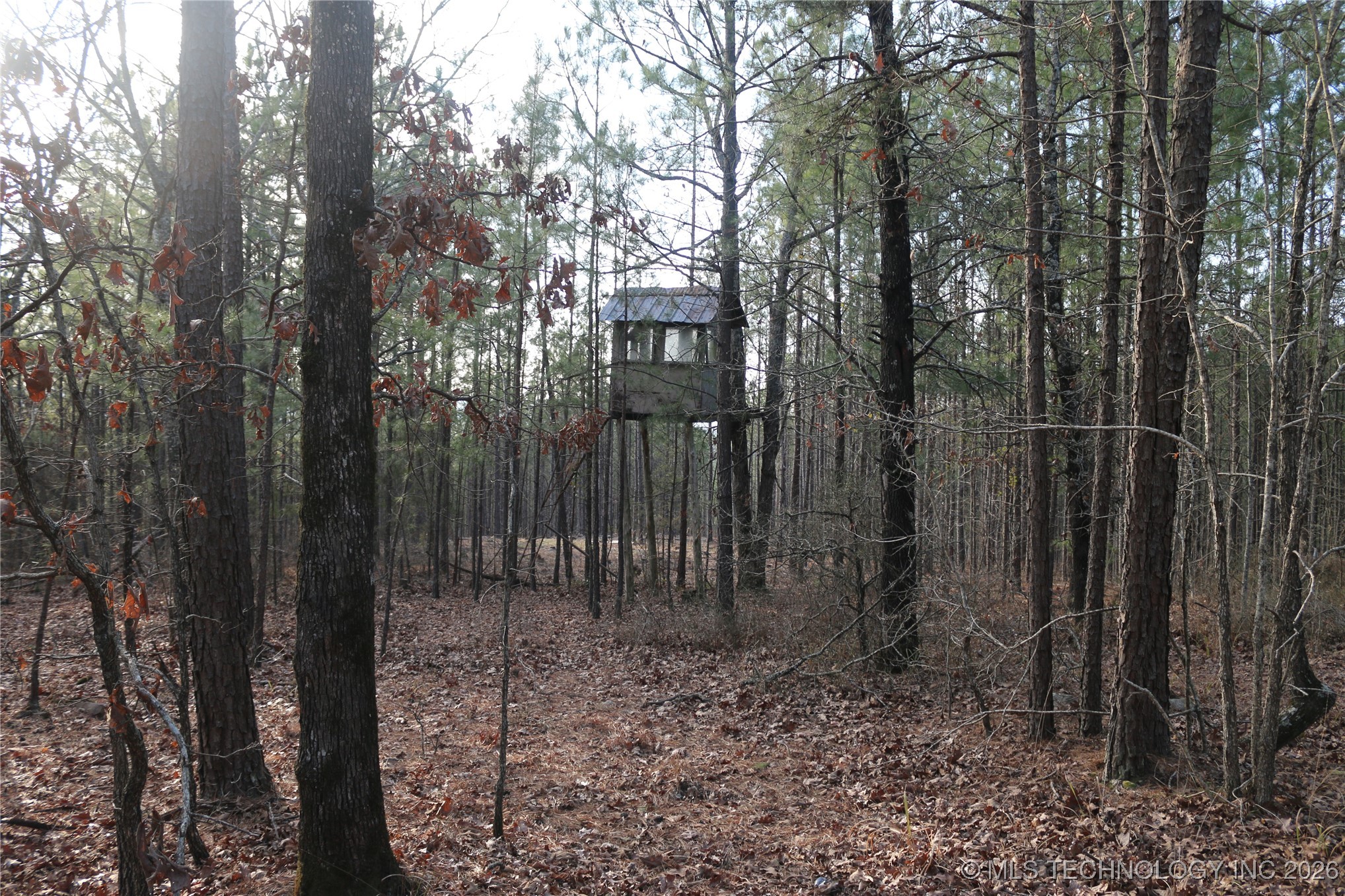 Marsh Loop Smithville OK 74957