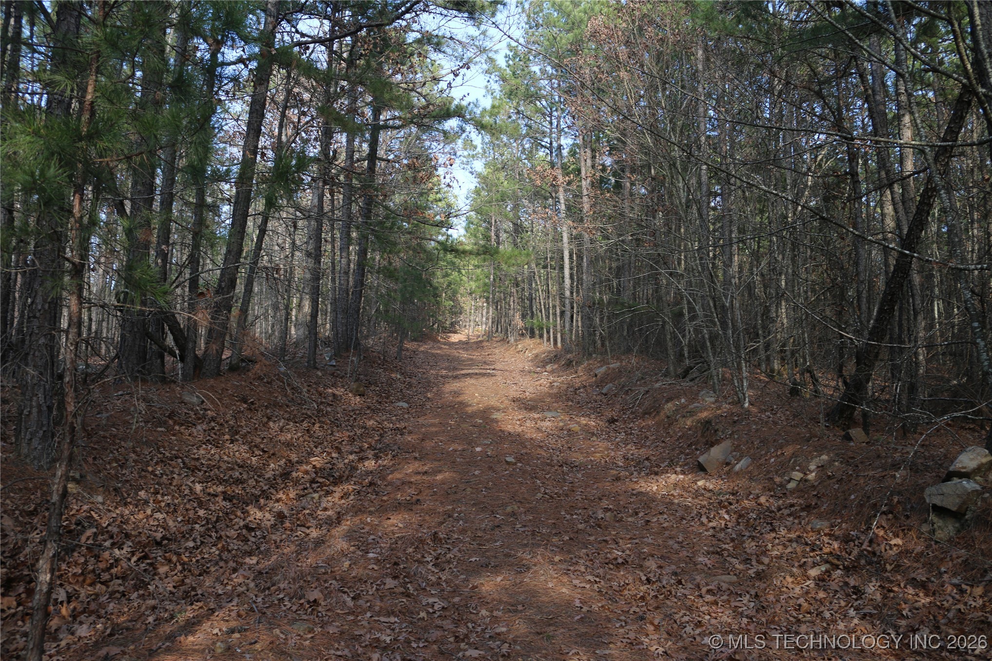 Marsh Loop Smithville OK 74957