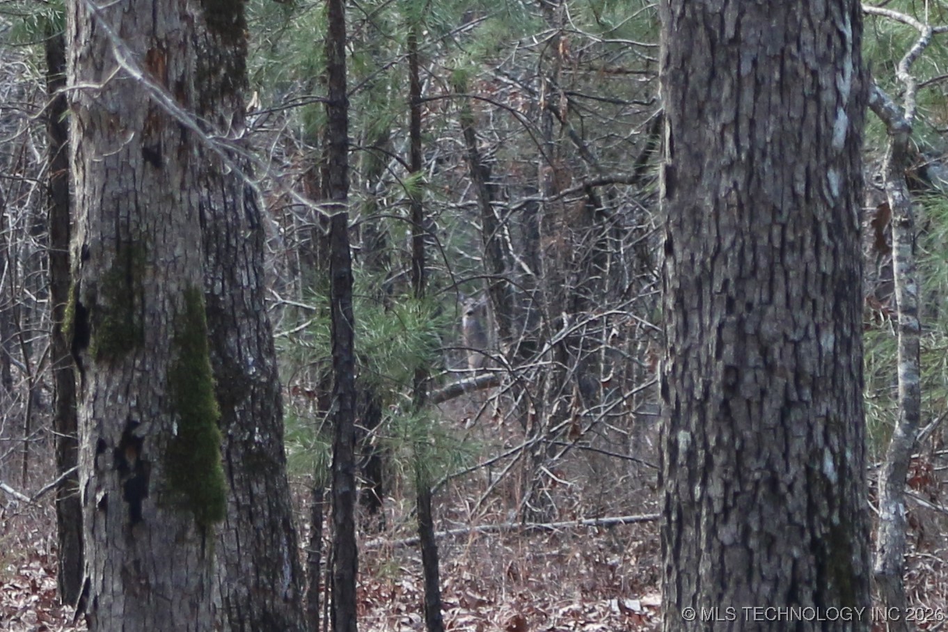 Marsh Loop Smithville OK 74957