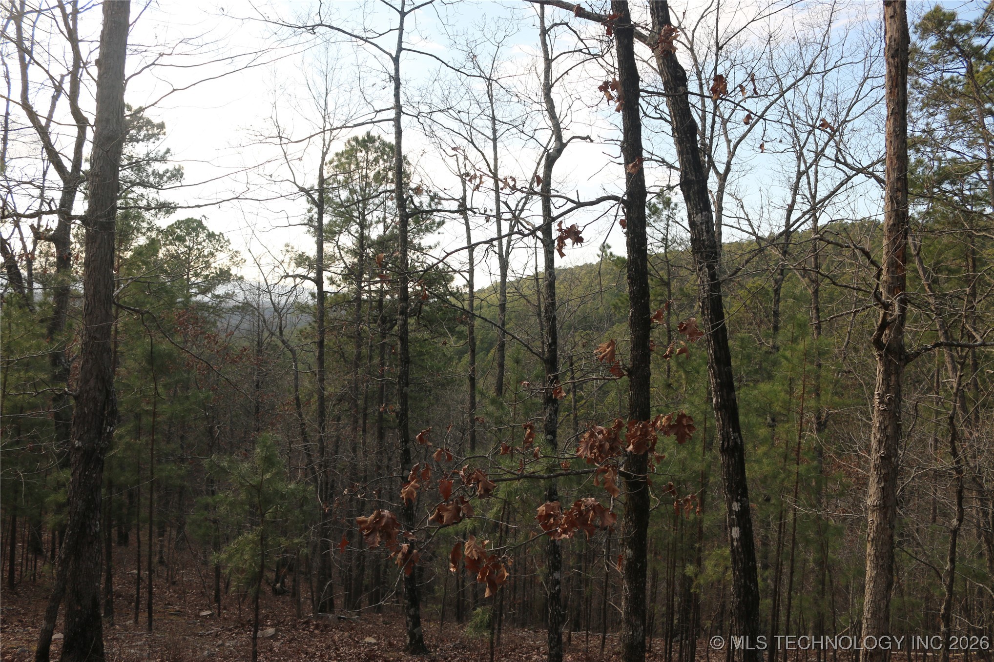 Marsh Loop Smithville OK 74957