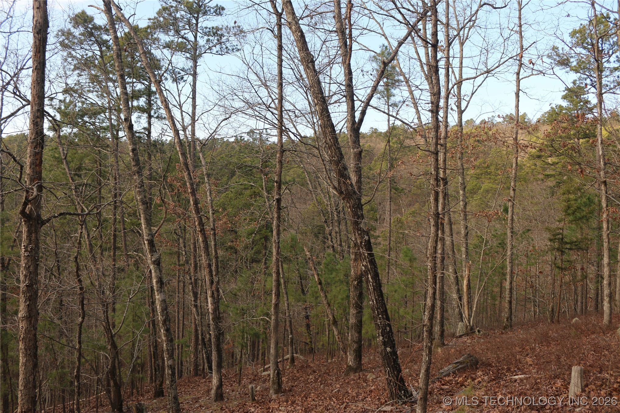 Marsh Loop Smithville OK 74957