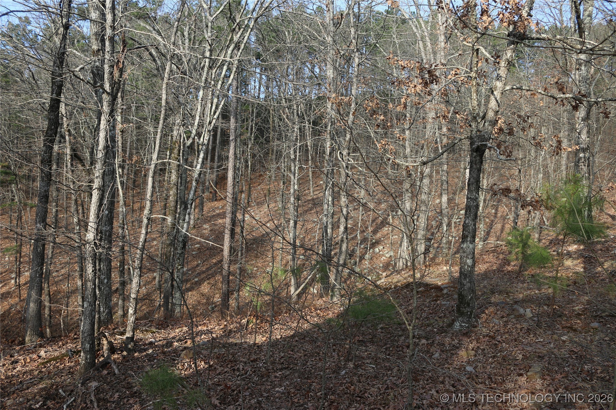 Marsh Loop Smithville OK 74957