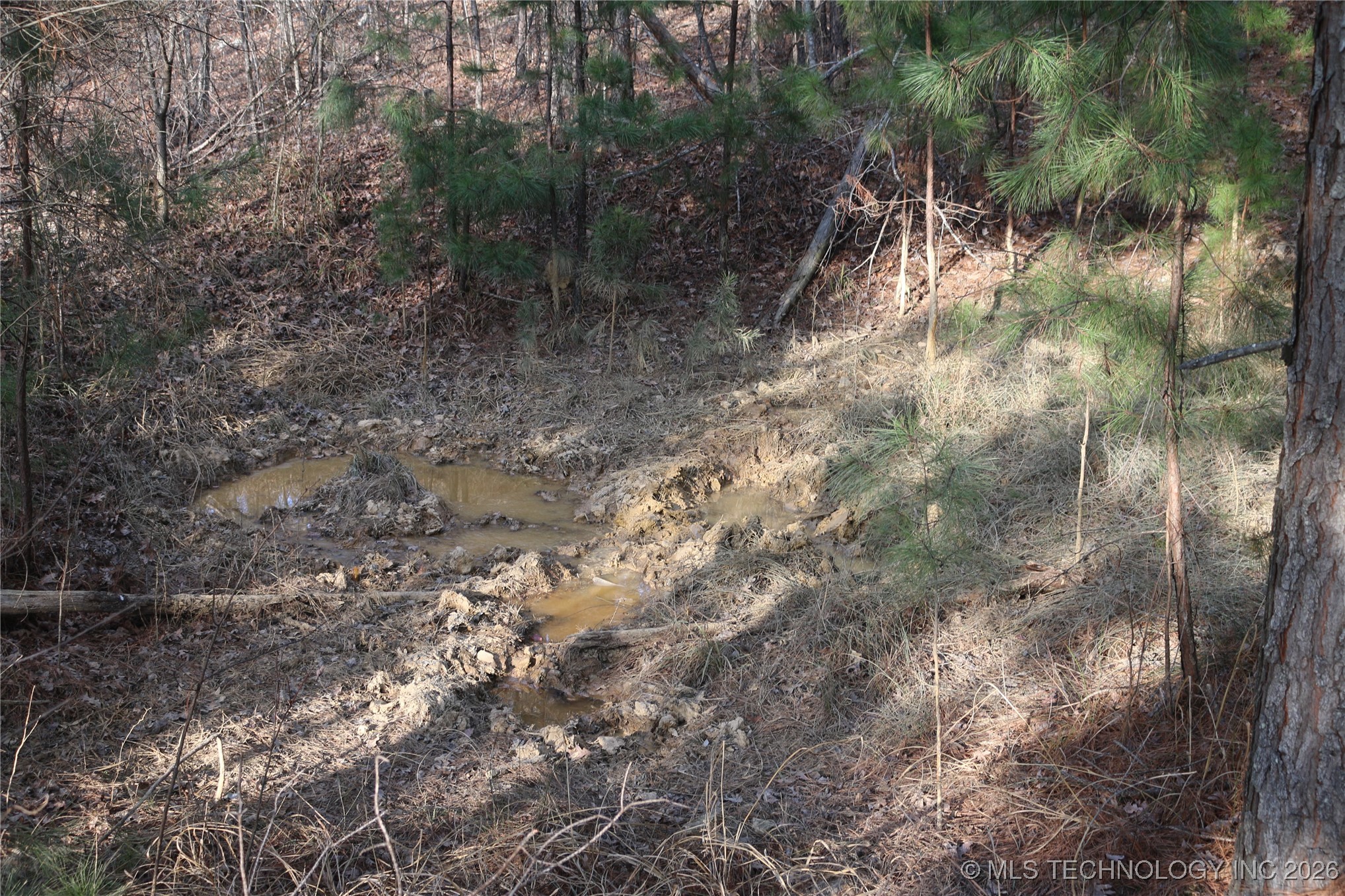 Marsh Loop Smithville OK 74957