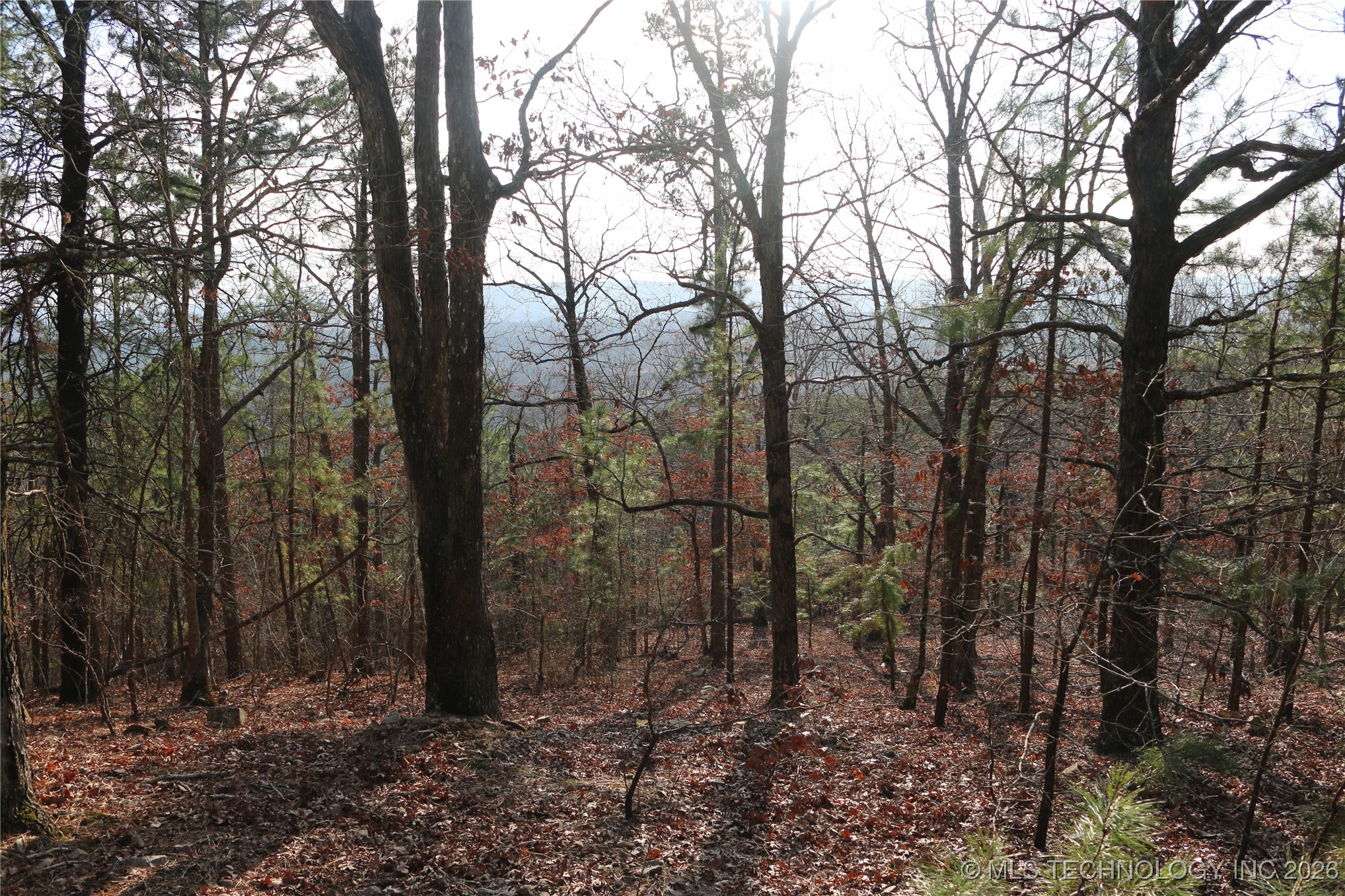 Marsh Loop Smithville OK 74957