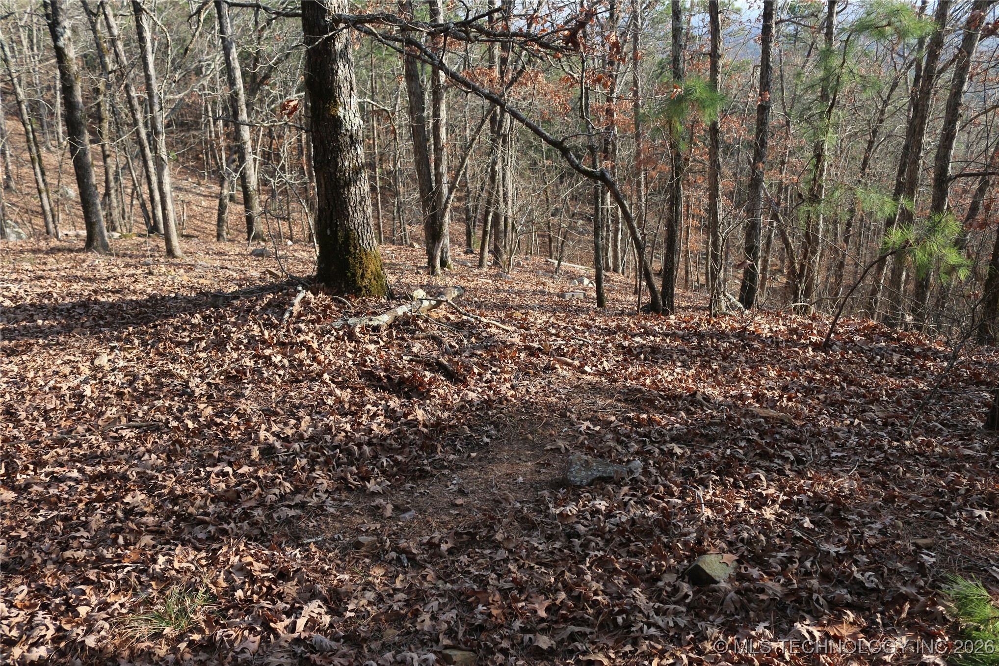 Marsh Loop Smithville OK 74957