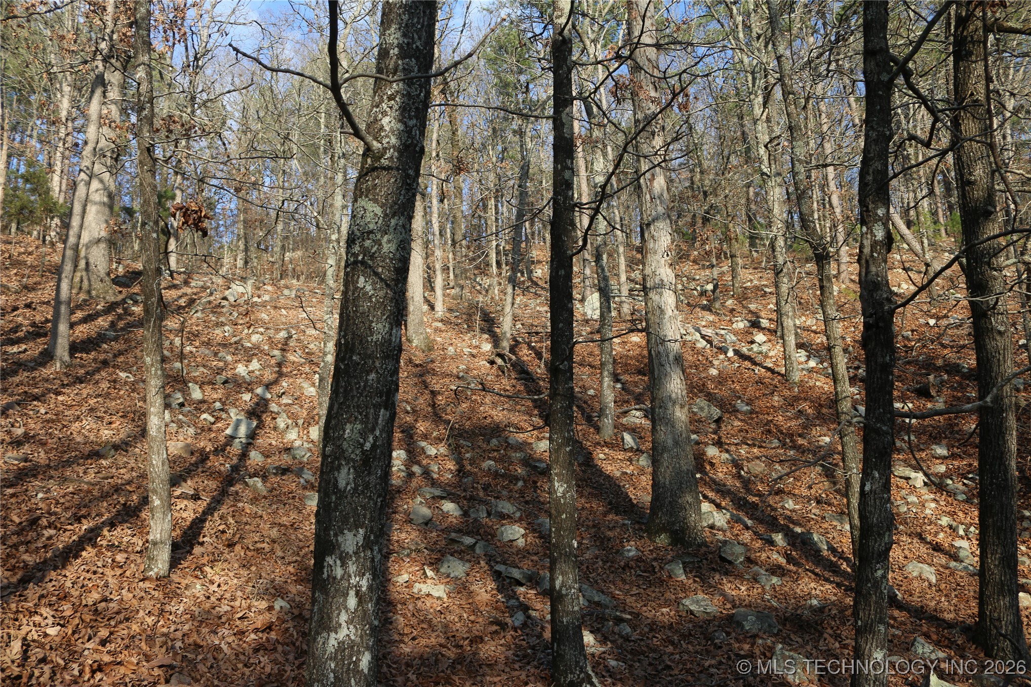 Marsh Loop Smithville OK 74957