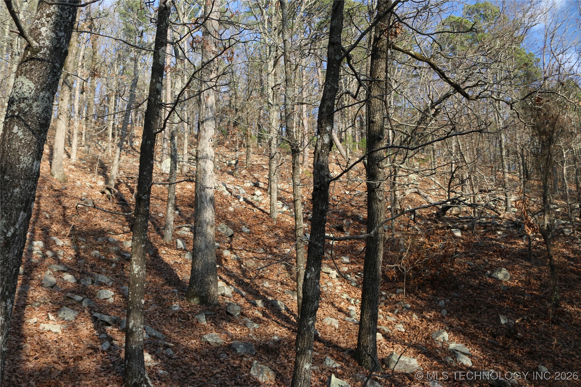 Marsh Loop Smithville OK 74957