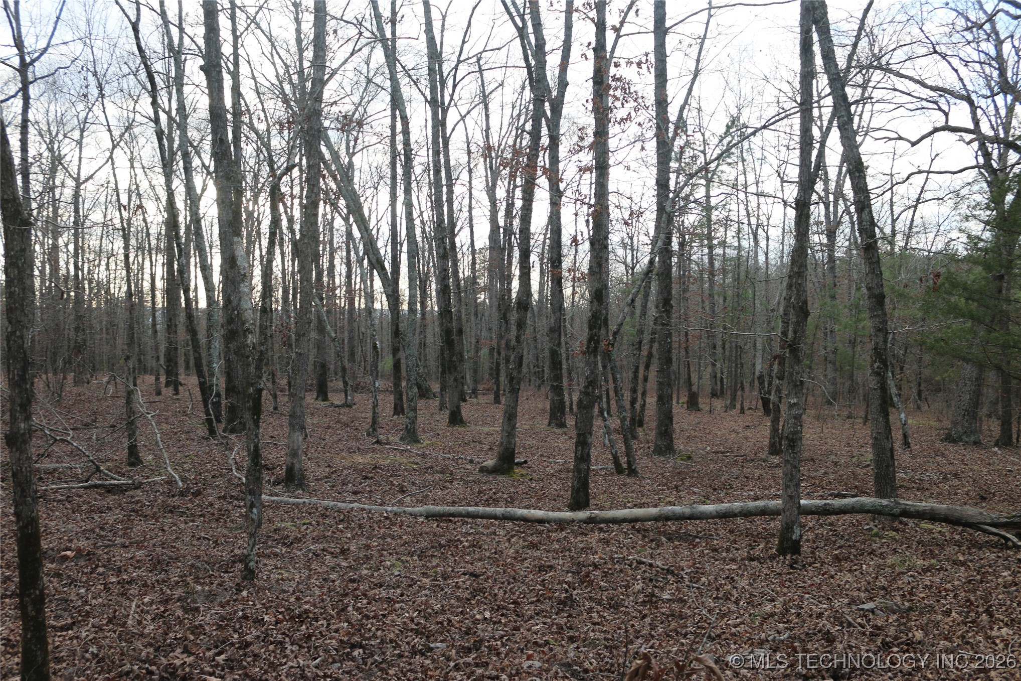 Marsh Loop Smithville OK 74957