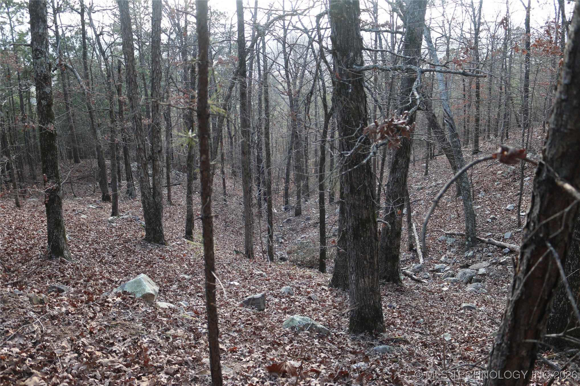 Marsh Loop Smithville OK 74957