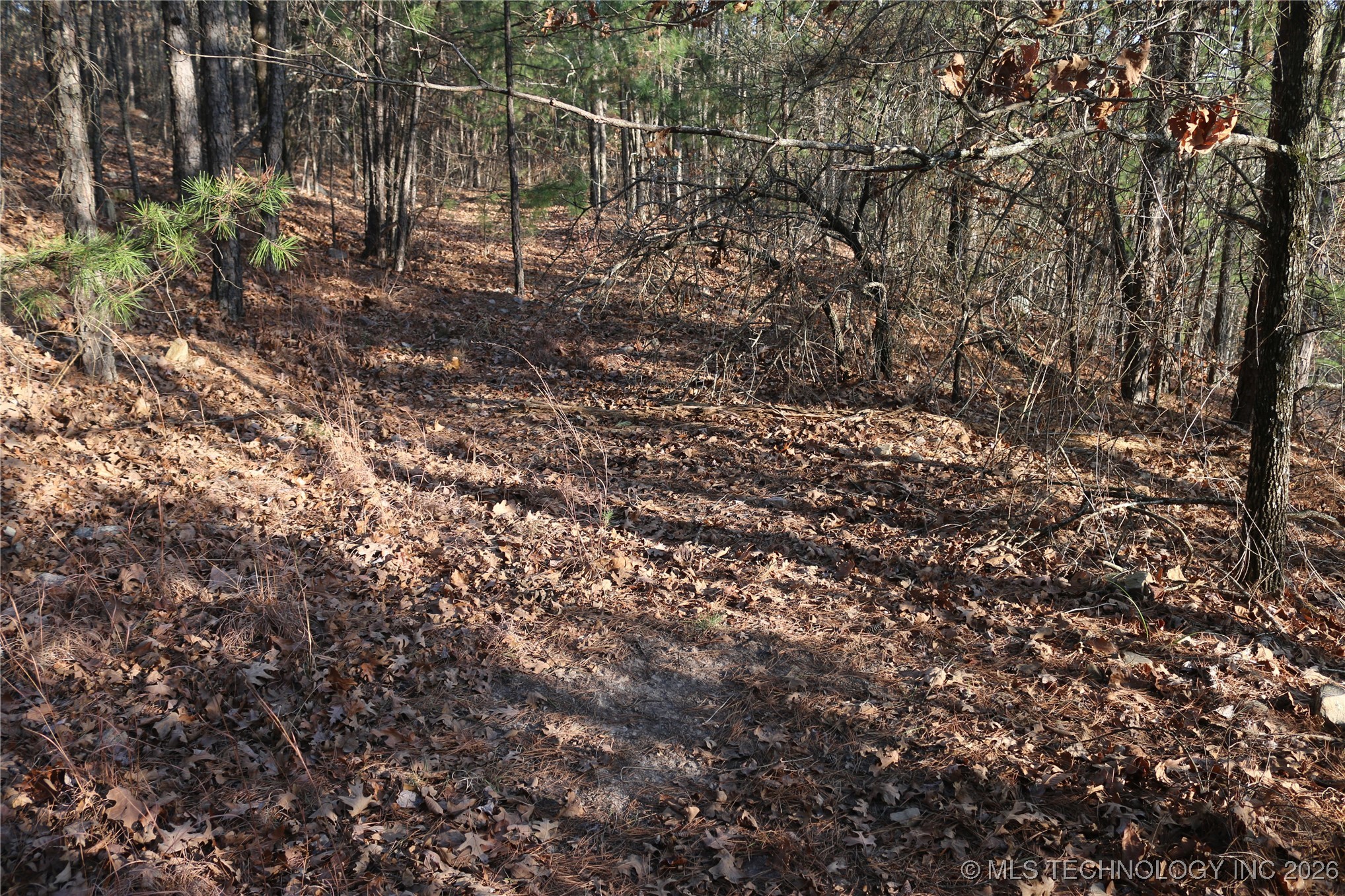 Marsh Loop Smithville OK 74957