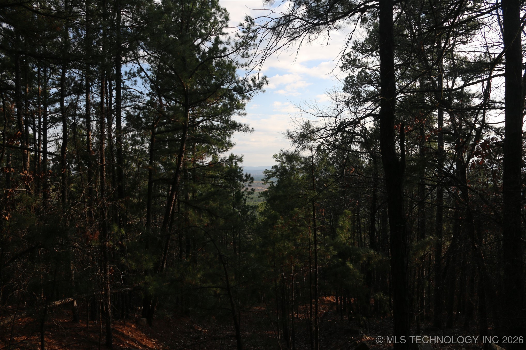 Marsh Loop Smithville OK 74957