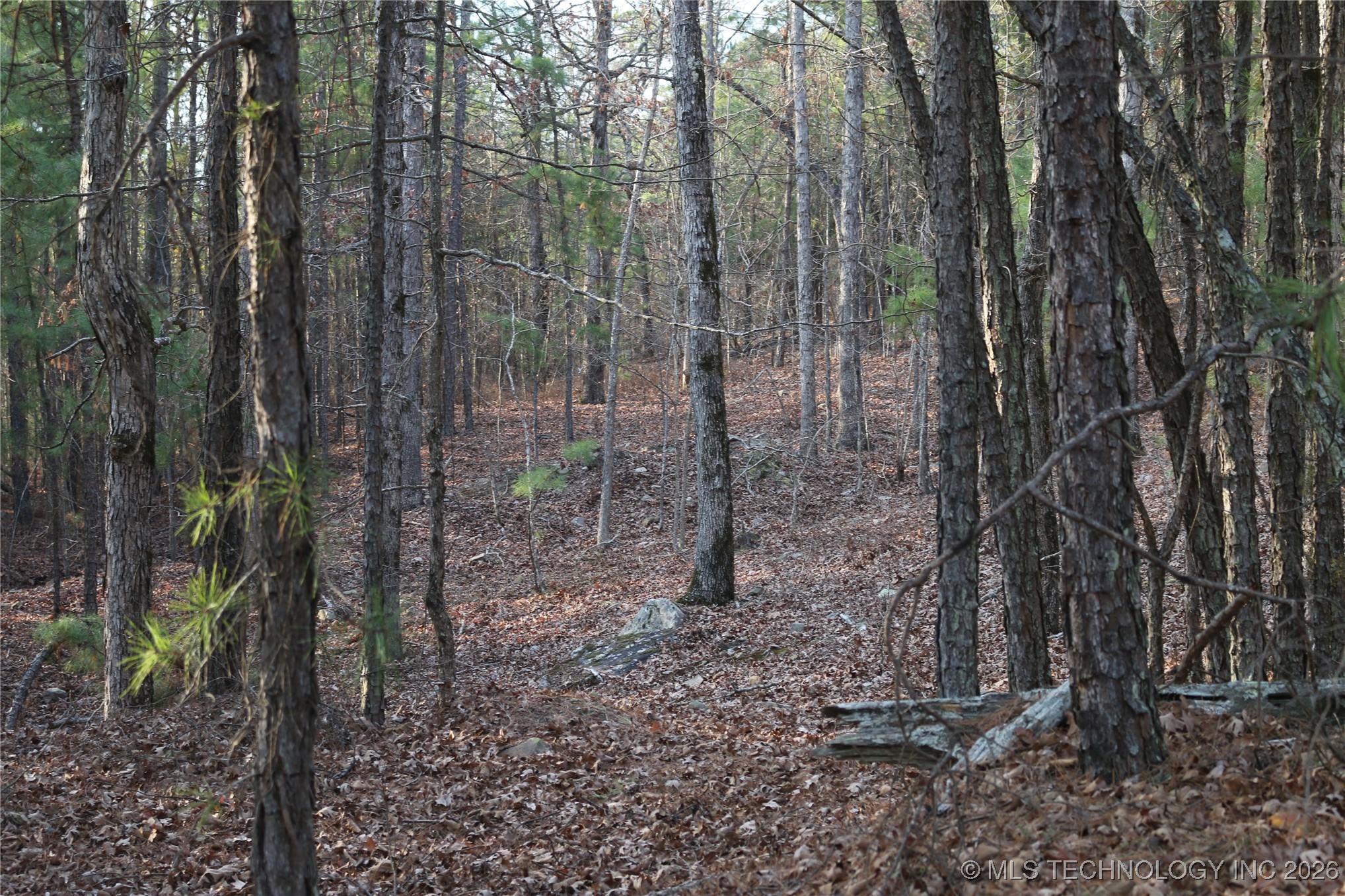 Marsh Loop Smithville OK 74957