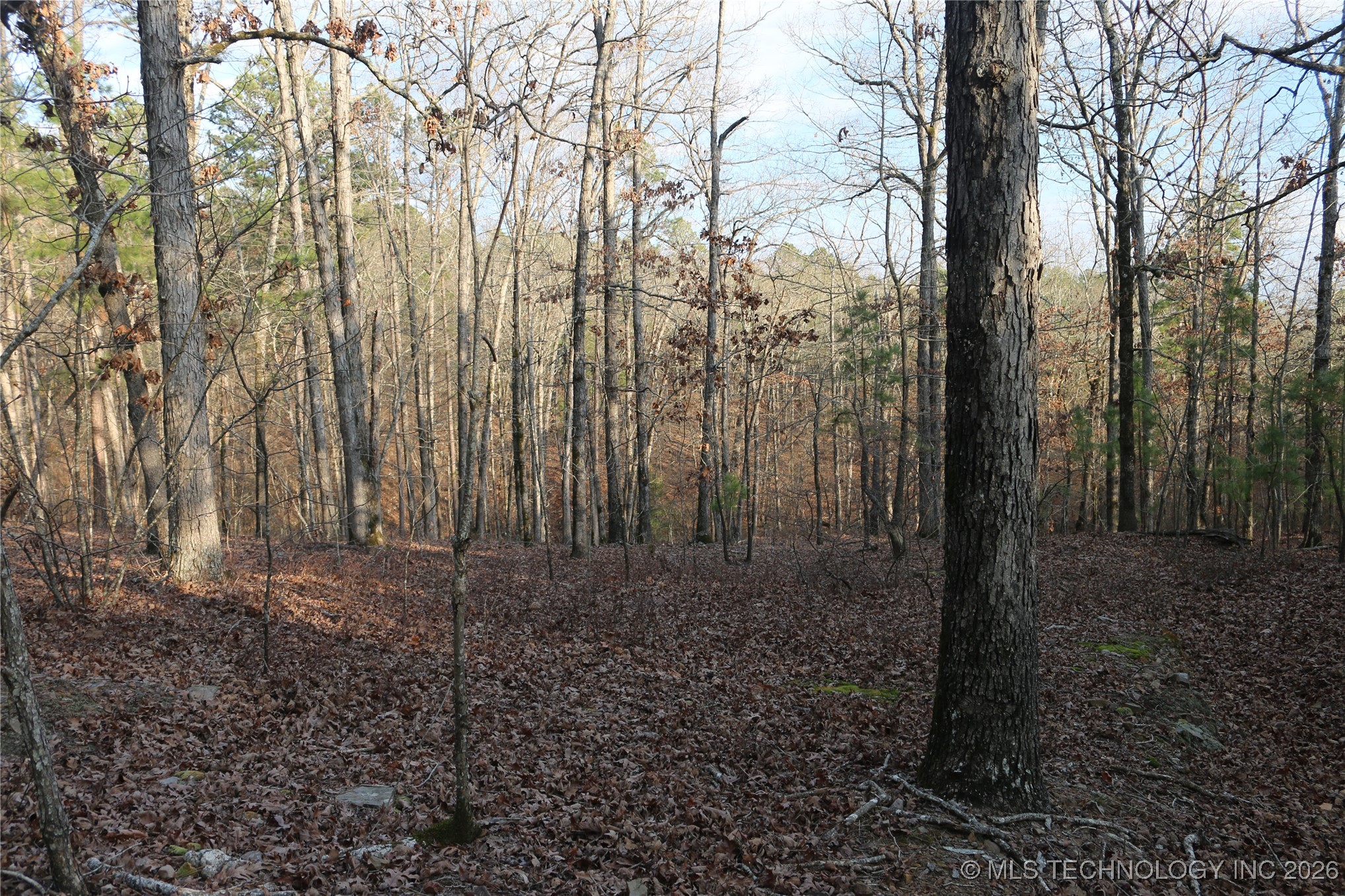 Marsh Loop Smithville OK 74957