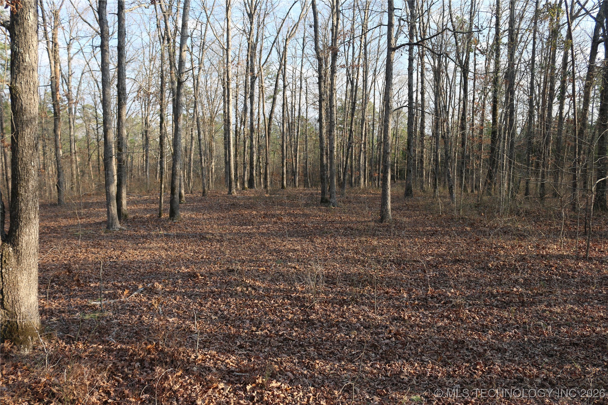 Marsh Loop Smithville OK 74957