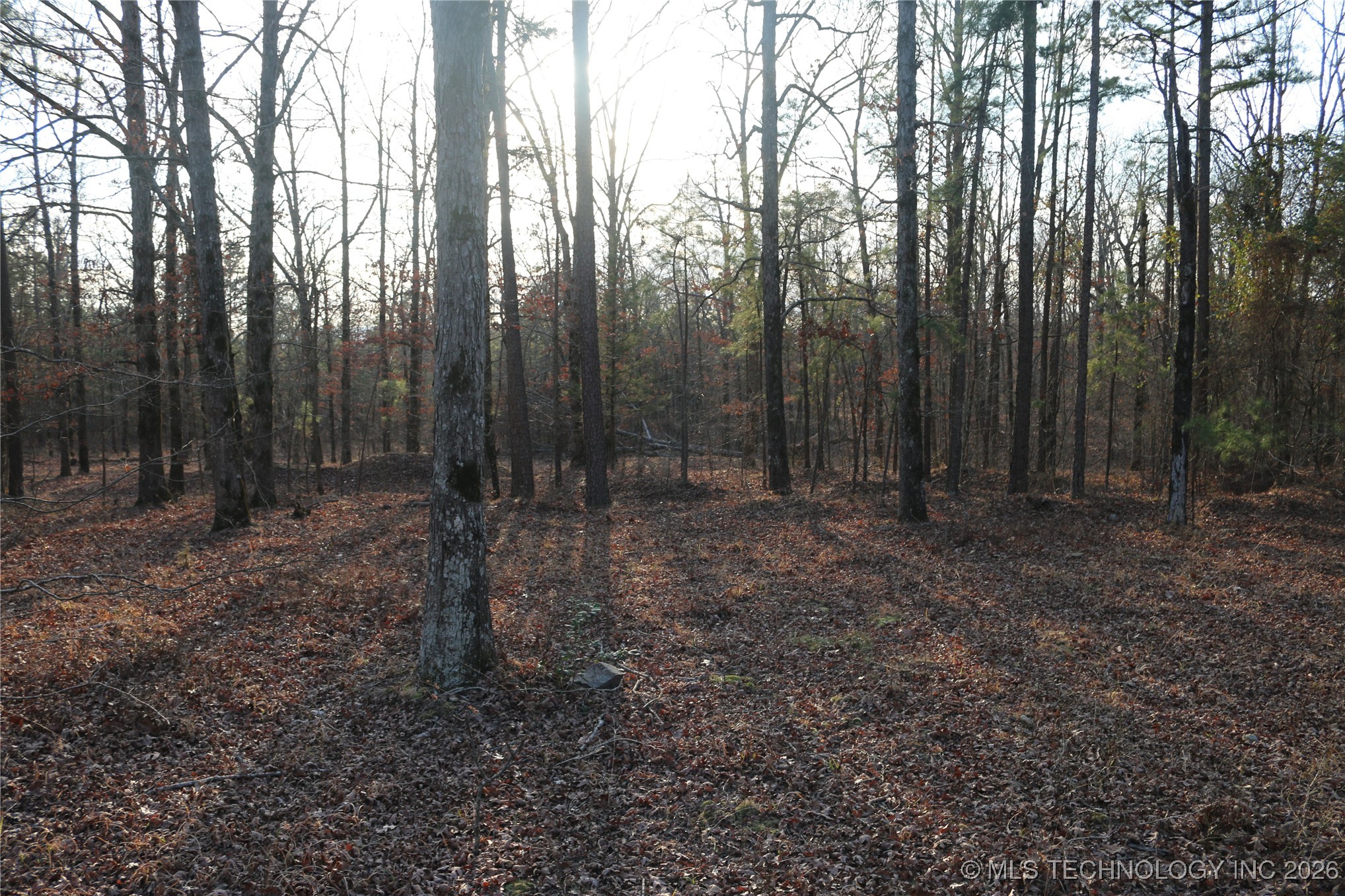 Marsh Loop Smithville OK 74957