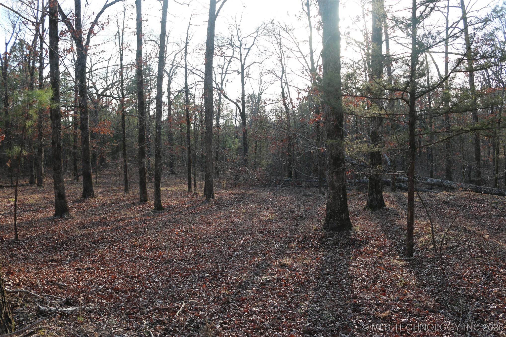 Marsh Loop Smithville OK 74957