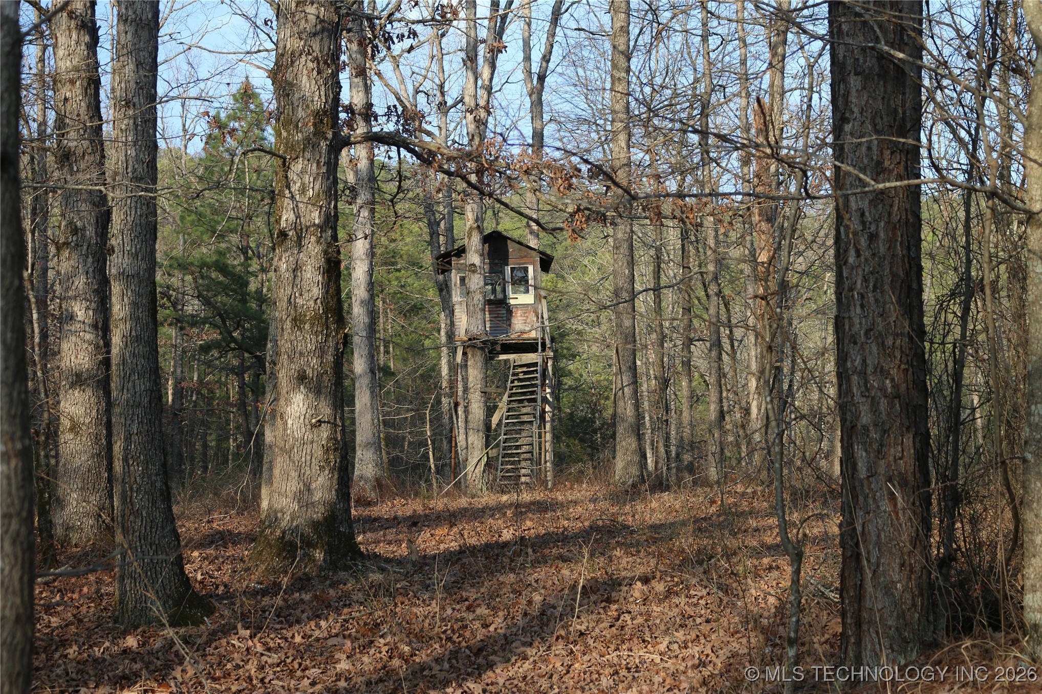 Marsh Loop Smithville OK 74957