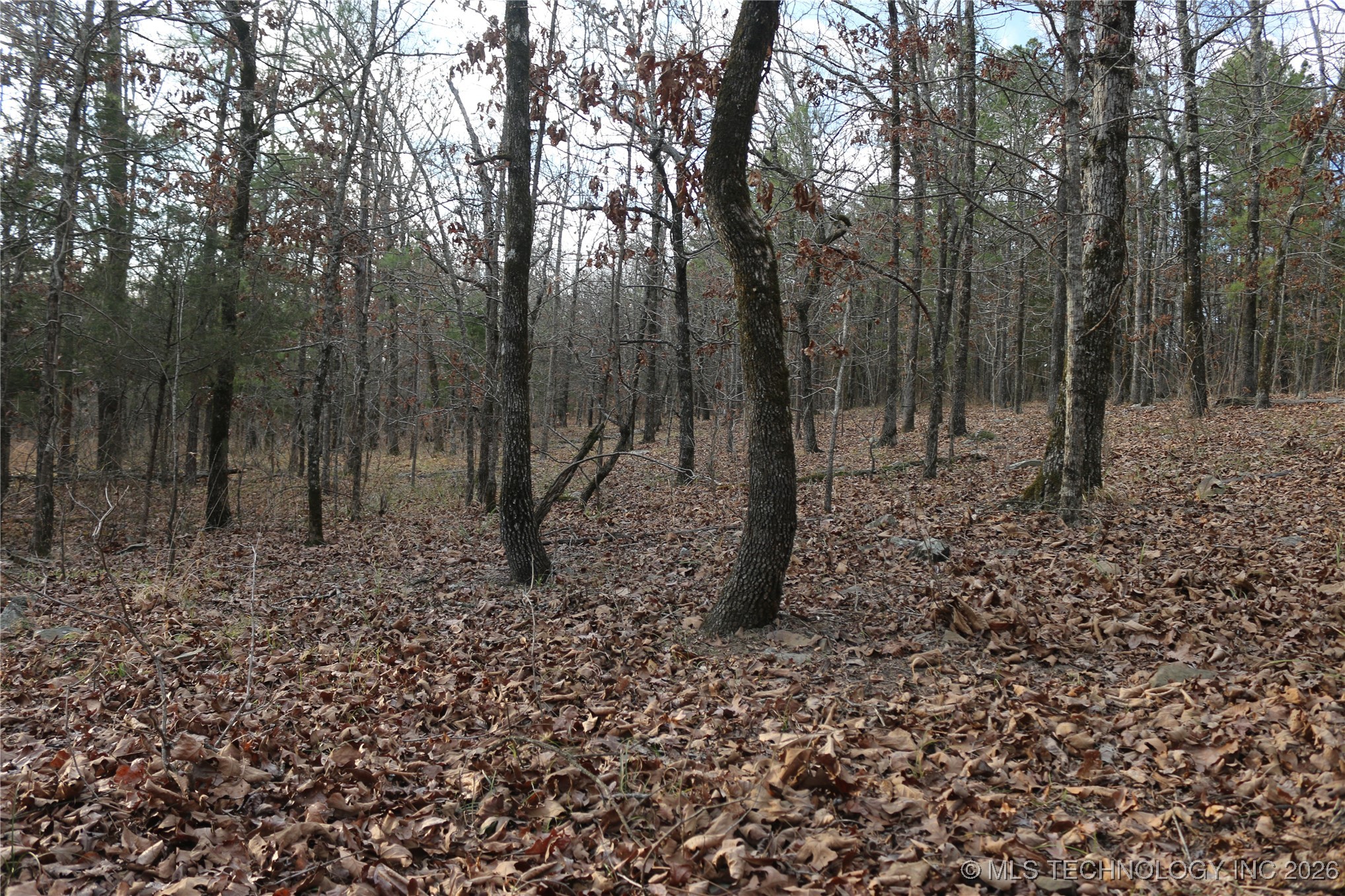 Marsh Loop Smithville OK 74957