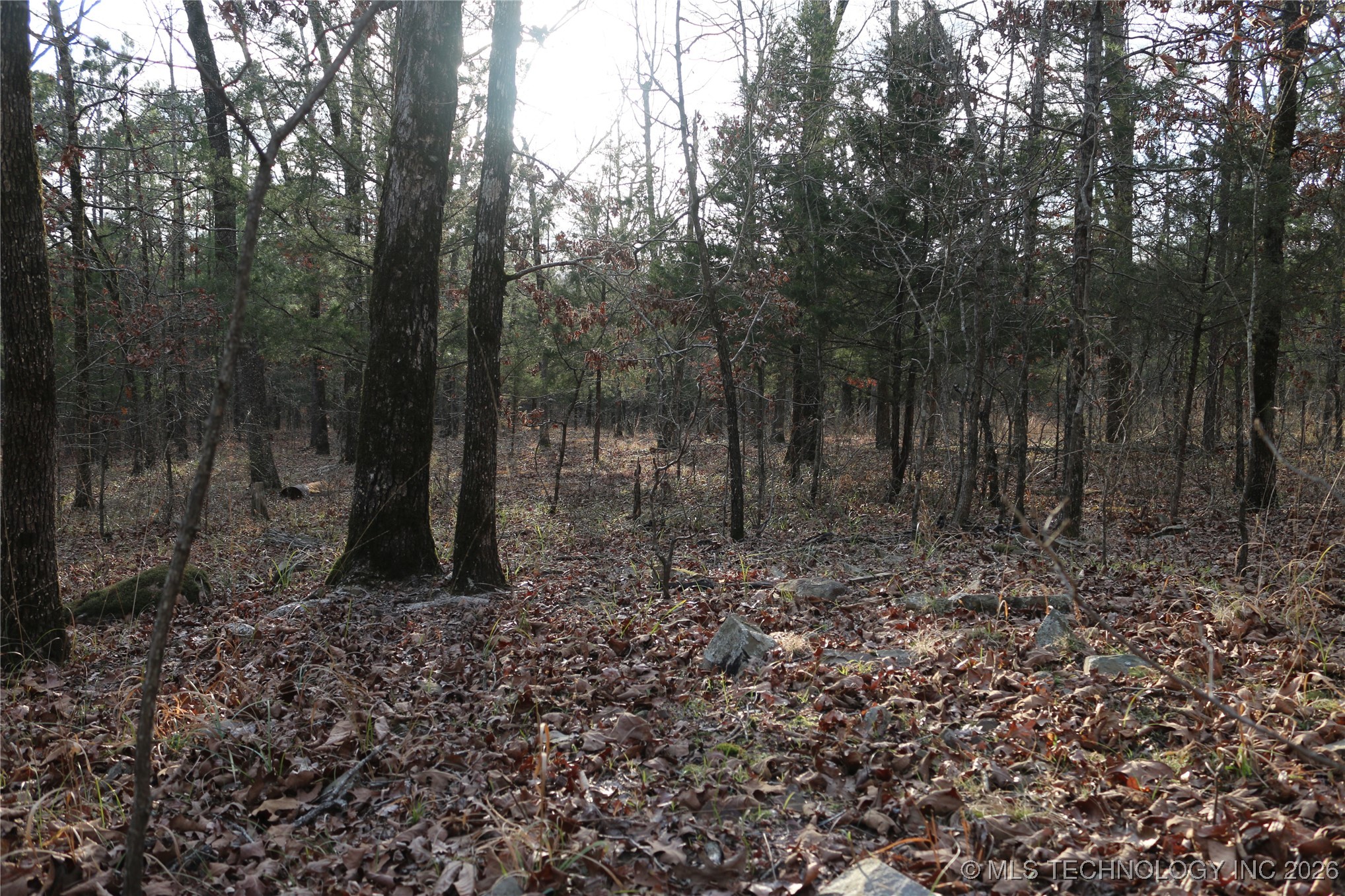 Marsh Loop Smithville OK 74957