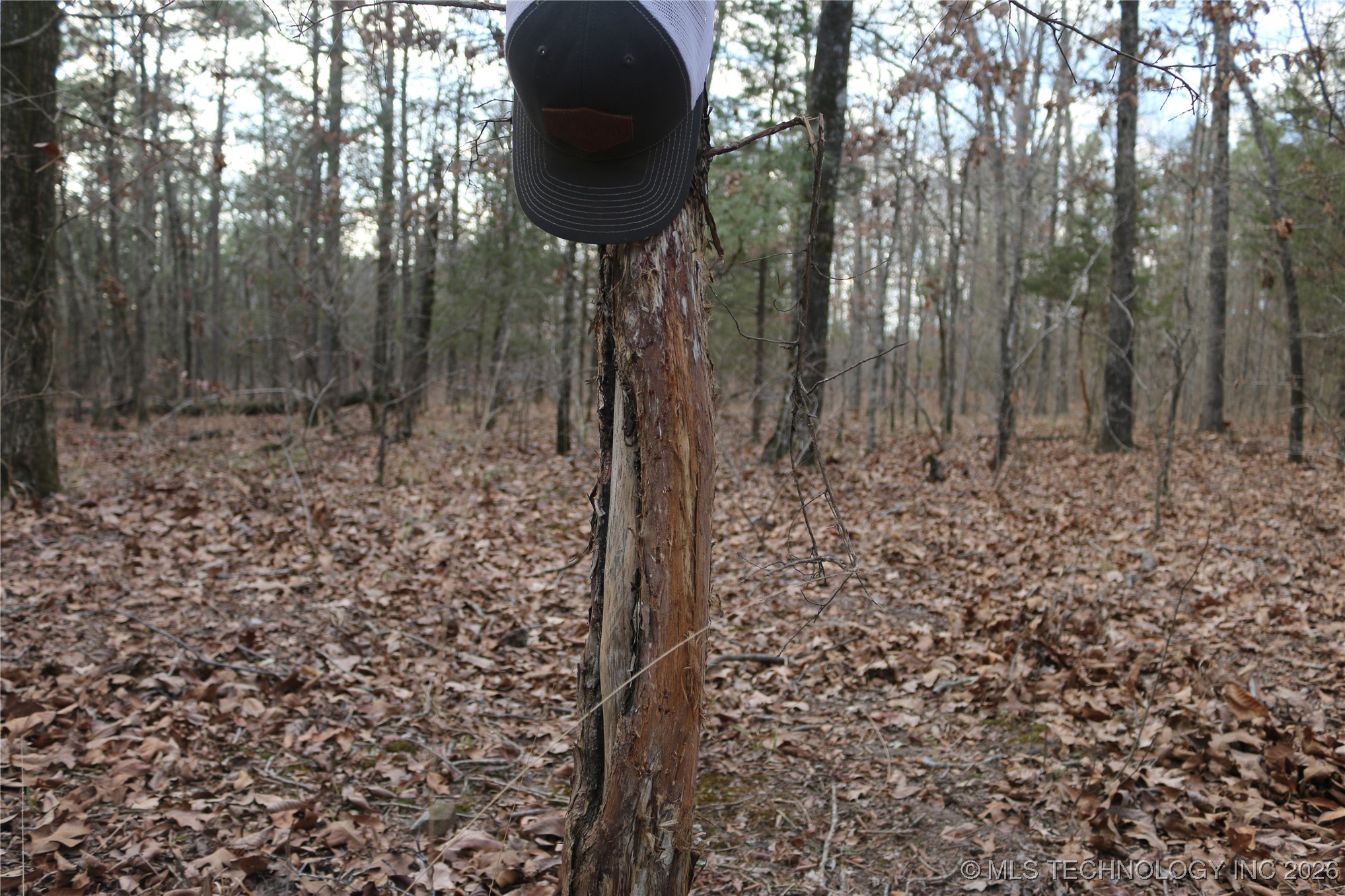 Marsh Loop Smithville OK 74957