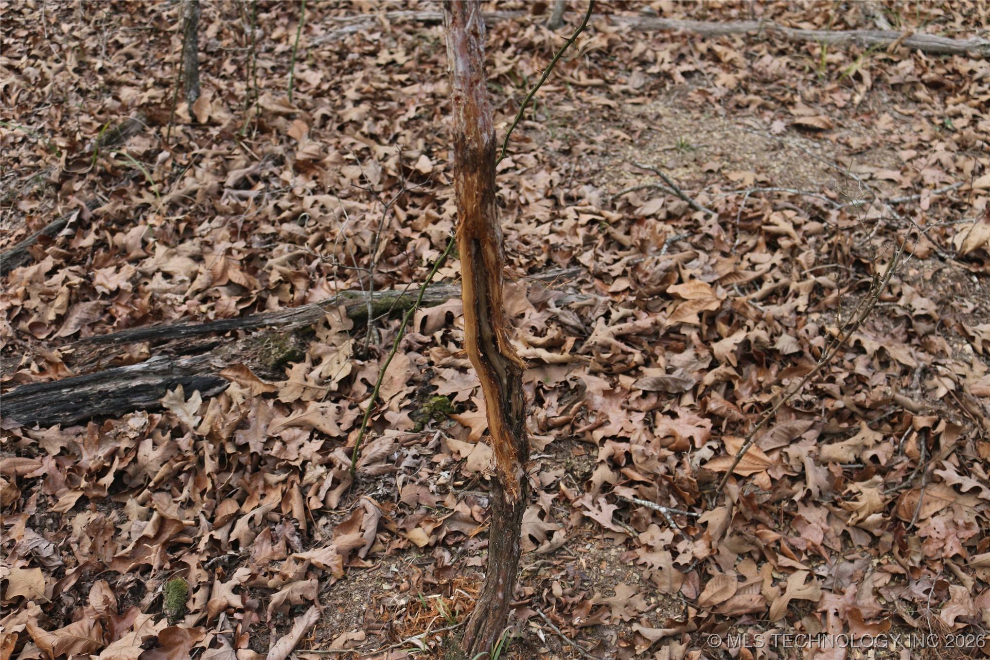Marsh Loop Smithville OK 74957