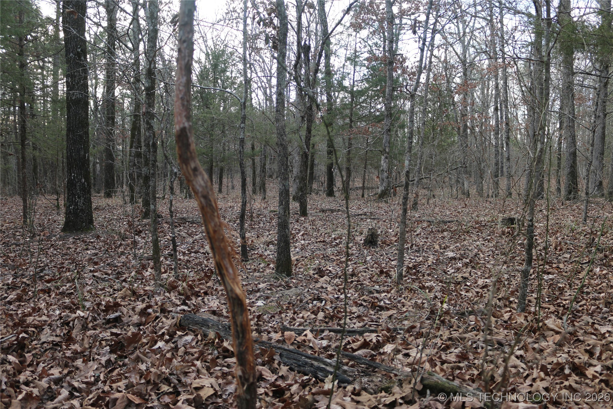 Marsh Loop Smithville OK 74957