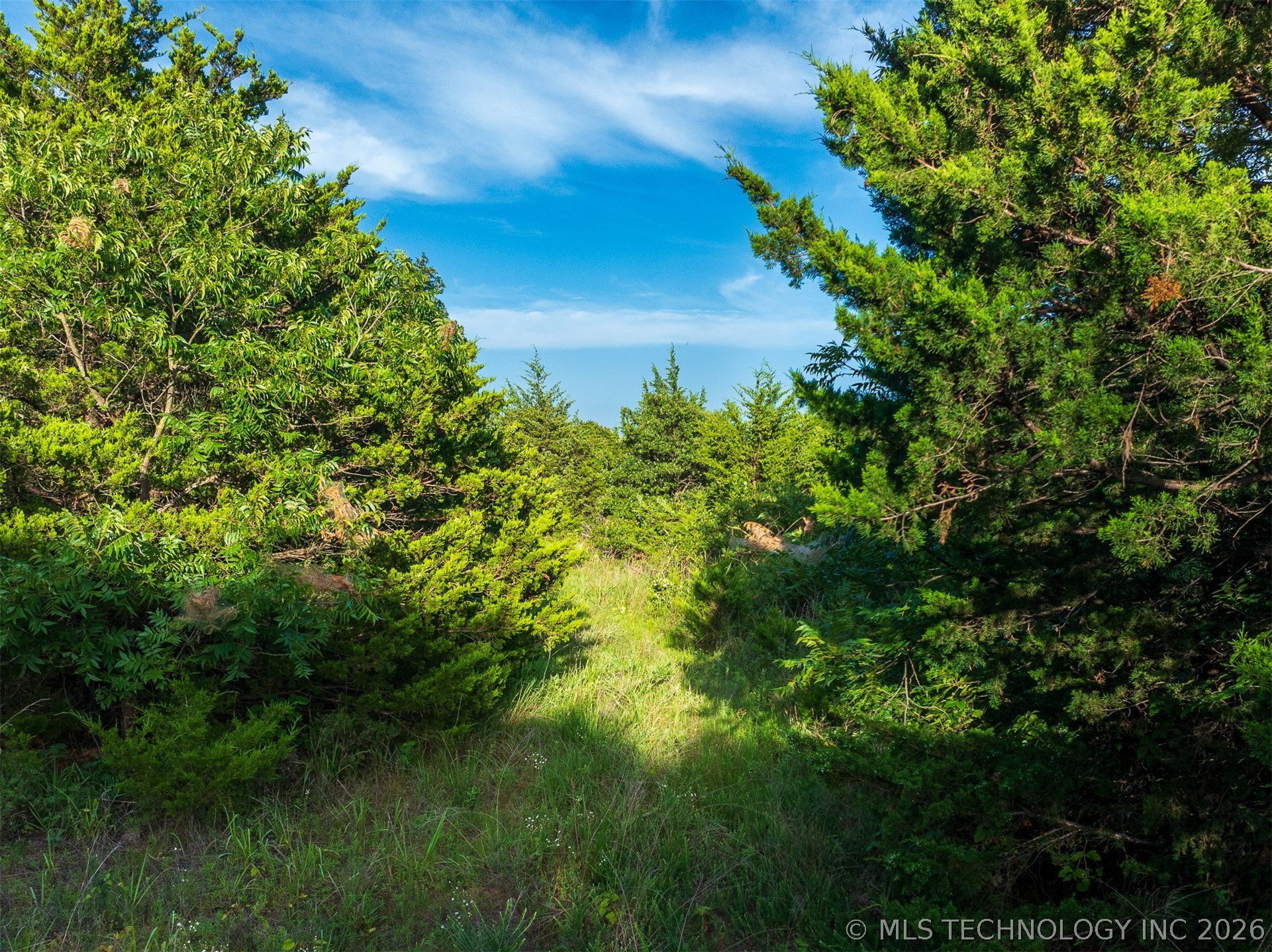 S 3397 Road Chandler OK 74834