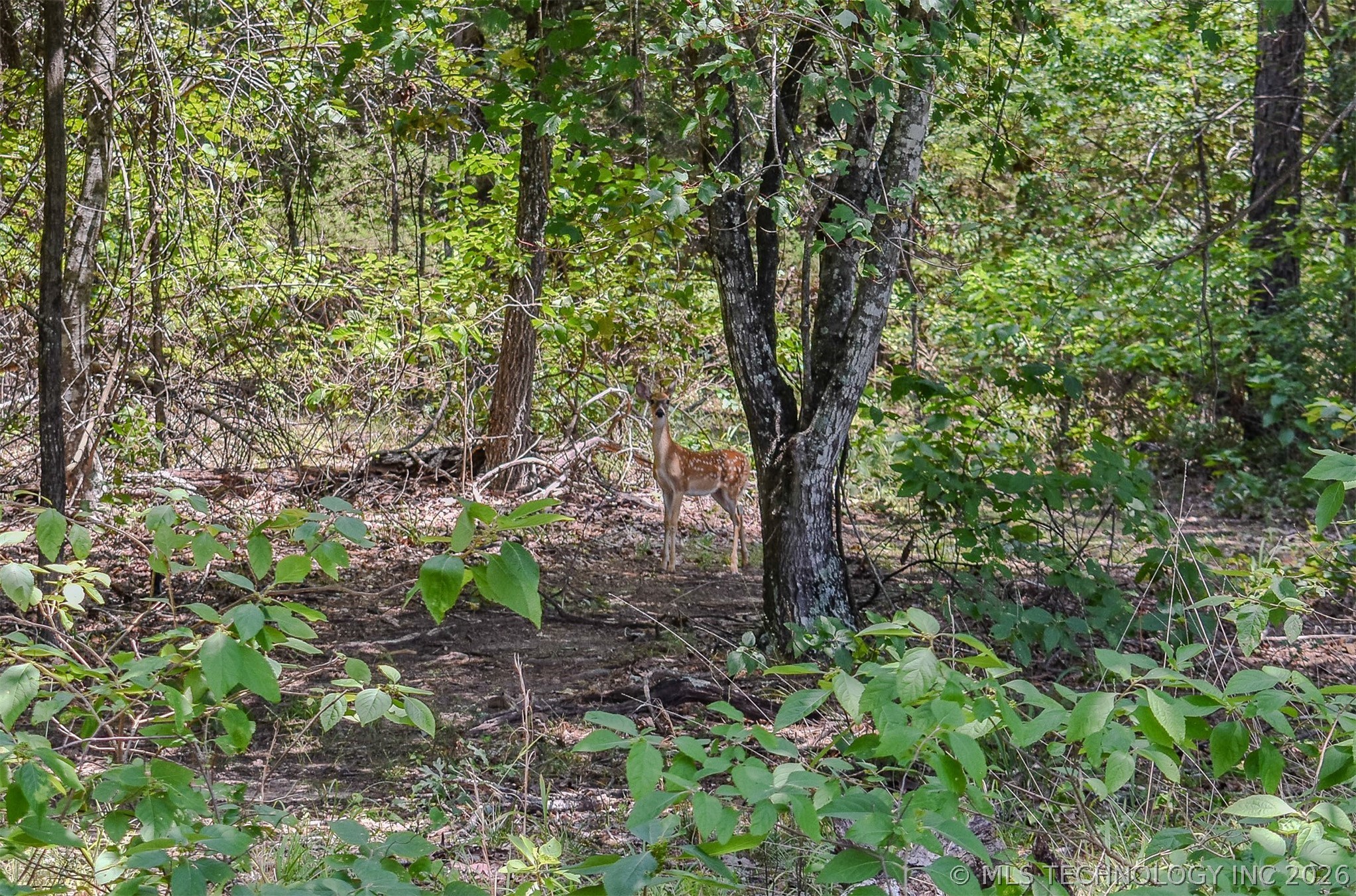 25 N 4210 Road Finley OK 74543