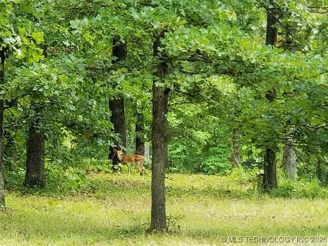 86 Edge Water Road Eufaula OK 74432