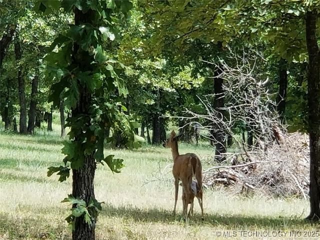 86 Edge Water Road Eufaula OK 74432