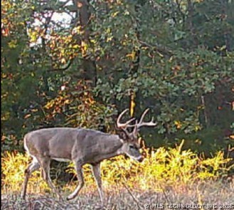 Norris Road Red Oak OK 74563