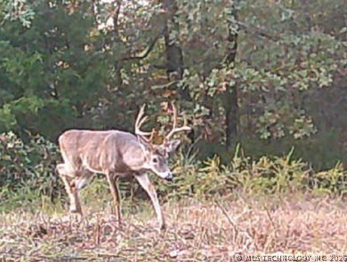 Norris Road Red Oak OK 74563