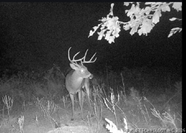 Norris Road Red Oak OK 74563